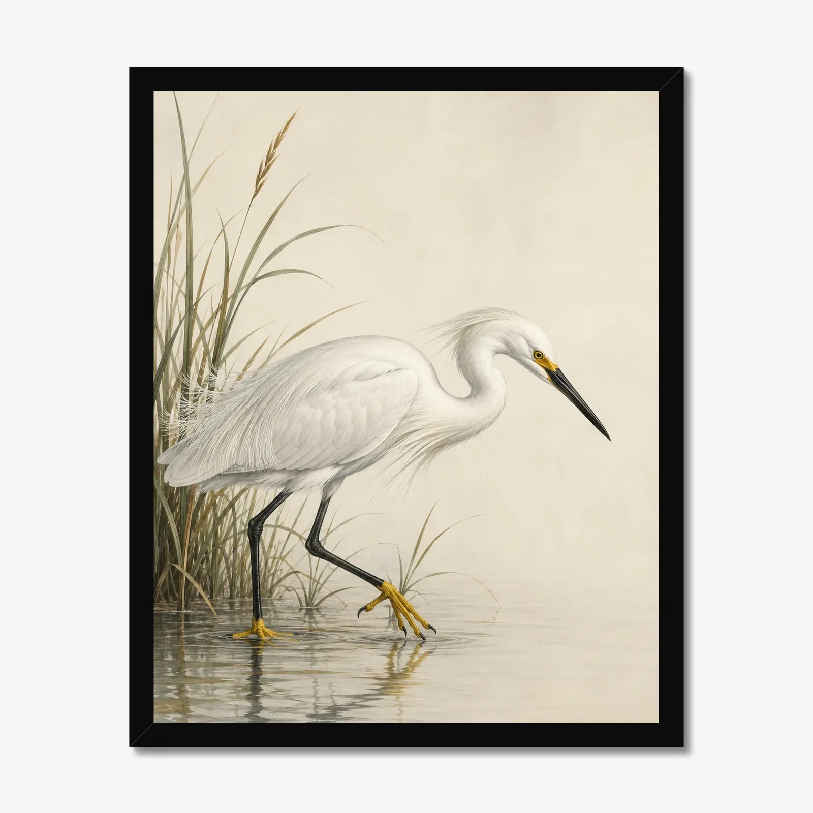 Snowy Egret print in a black frame