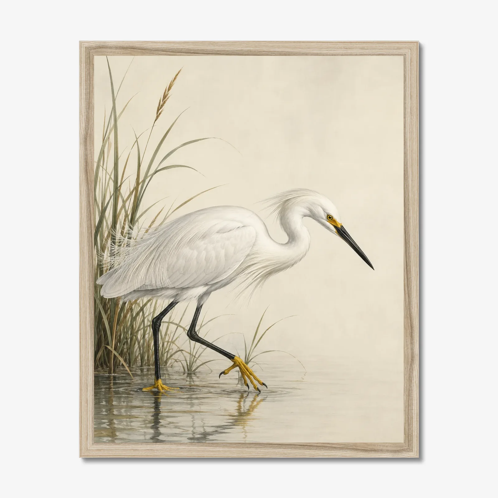 Snowy Egret print in a natural frame