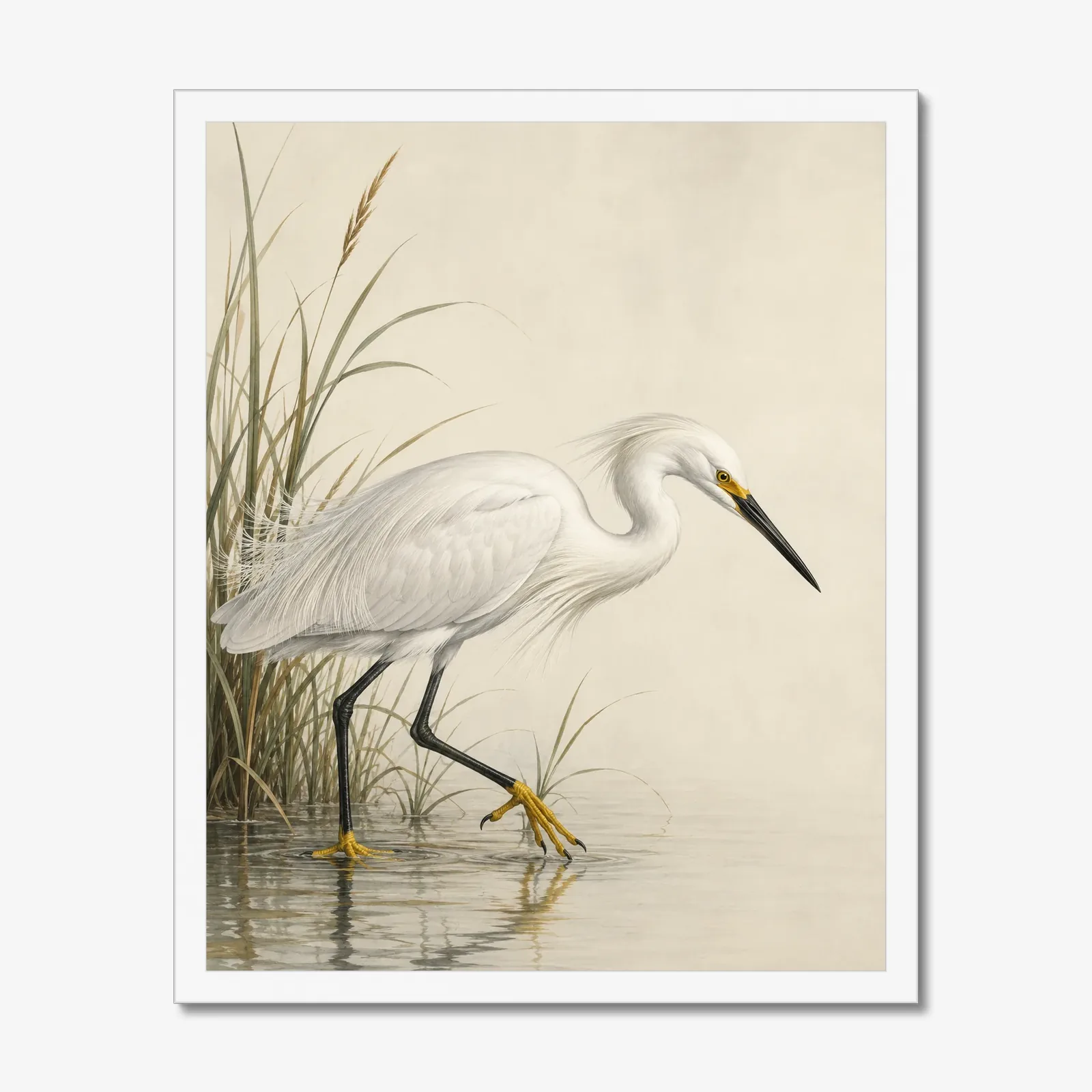 Snowy Egret print in a white frame