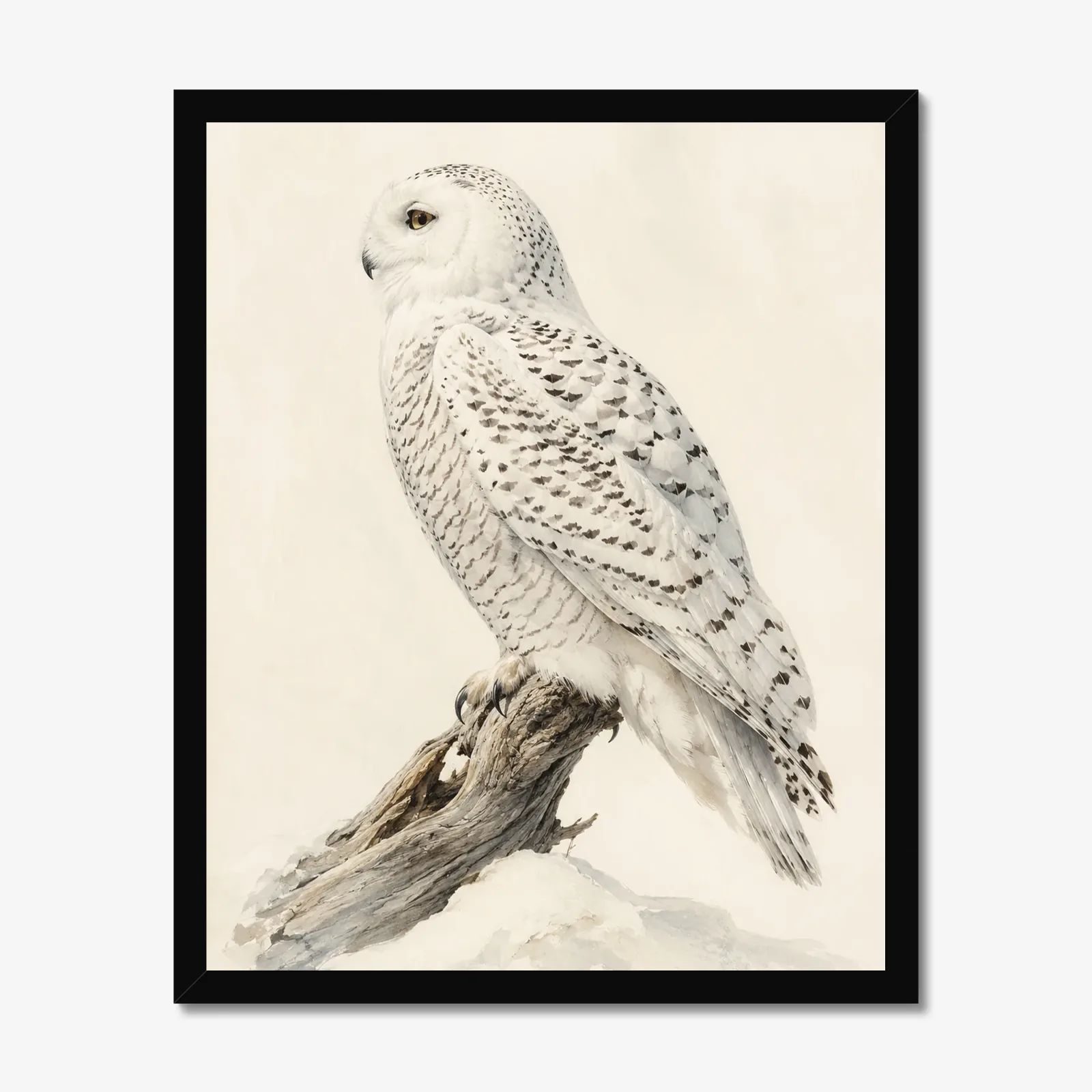 Snowy Owl Print in a black frame