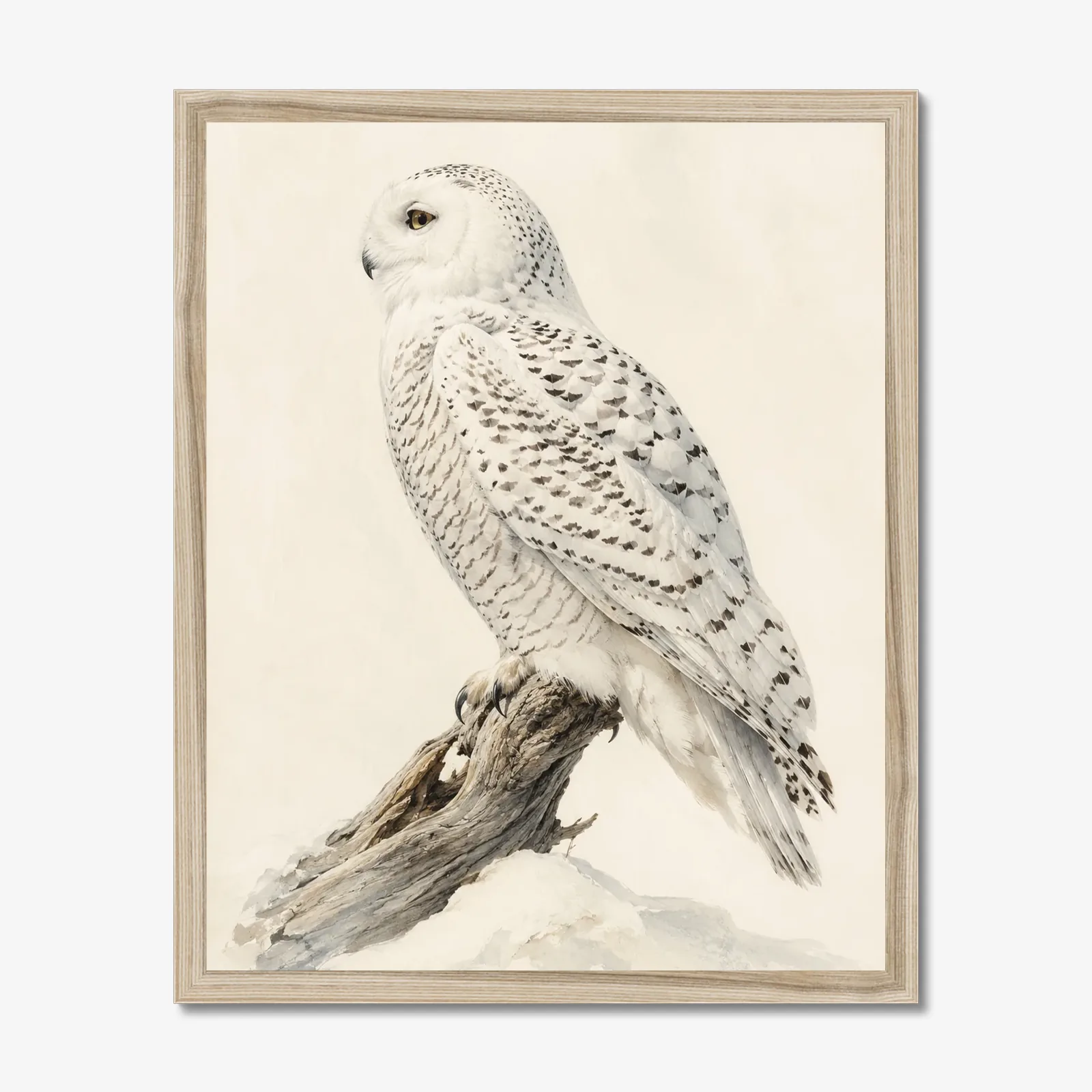 Snowy Owl Print in a natural frame