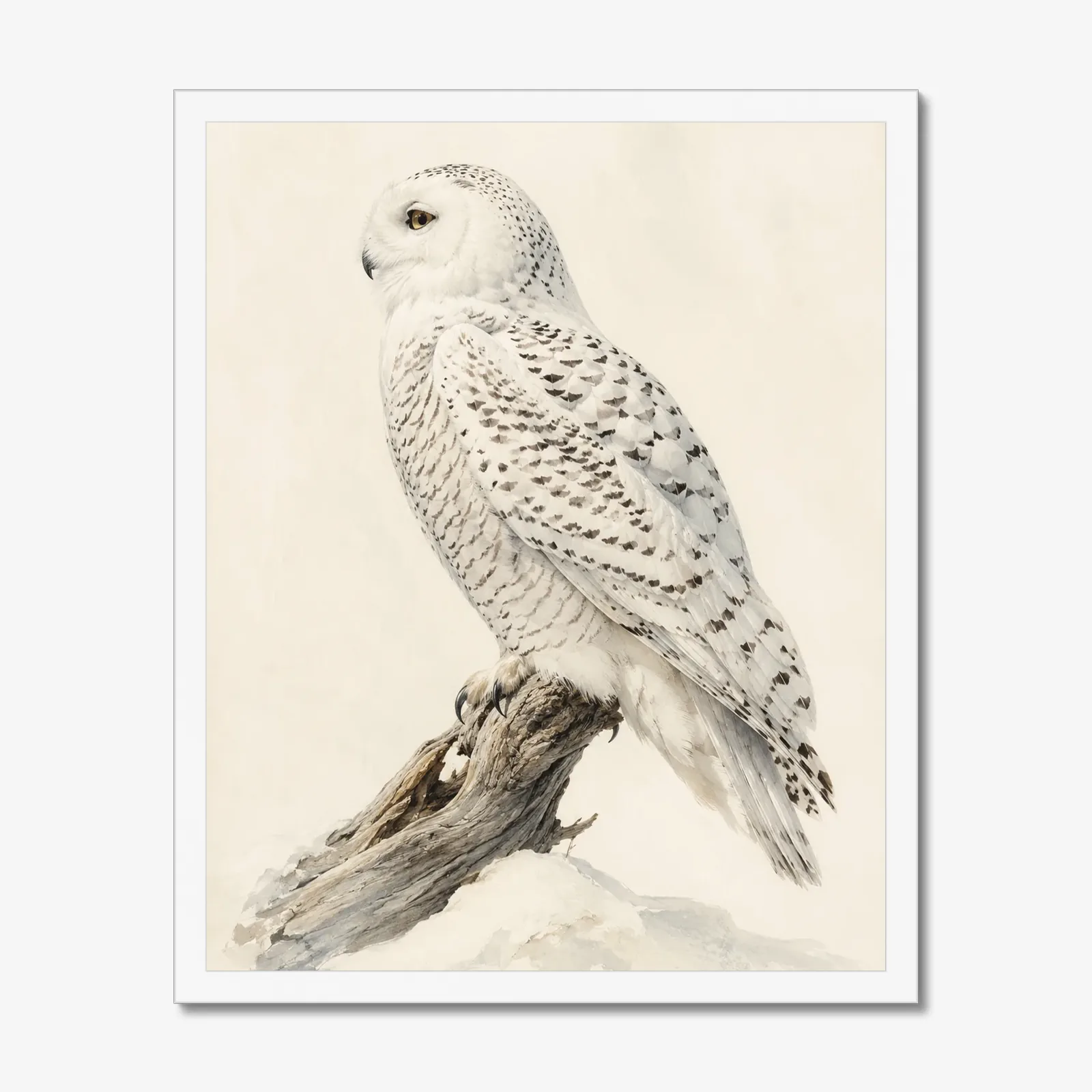Snowy Owl Print in a white frame