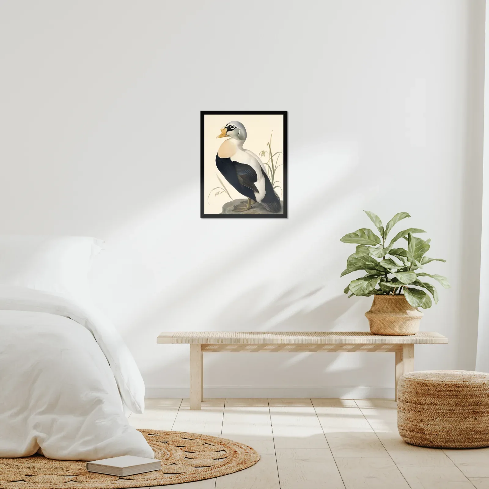 Spectacled Eider Print framed at 16x20 inches, shown on a wall to scale