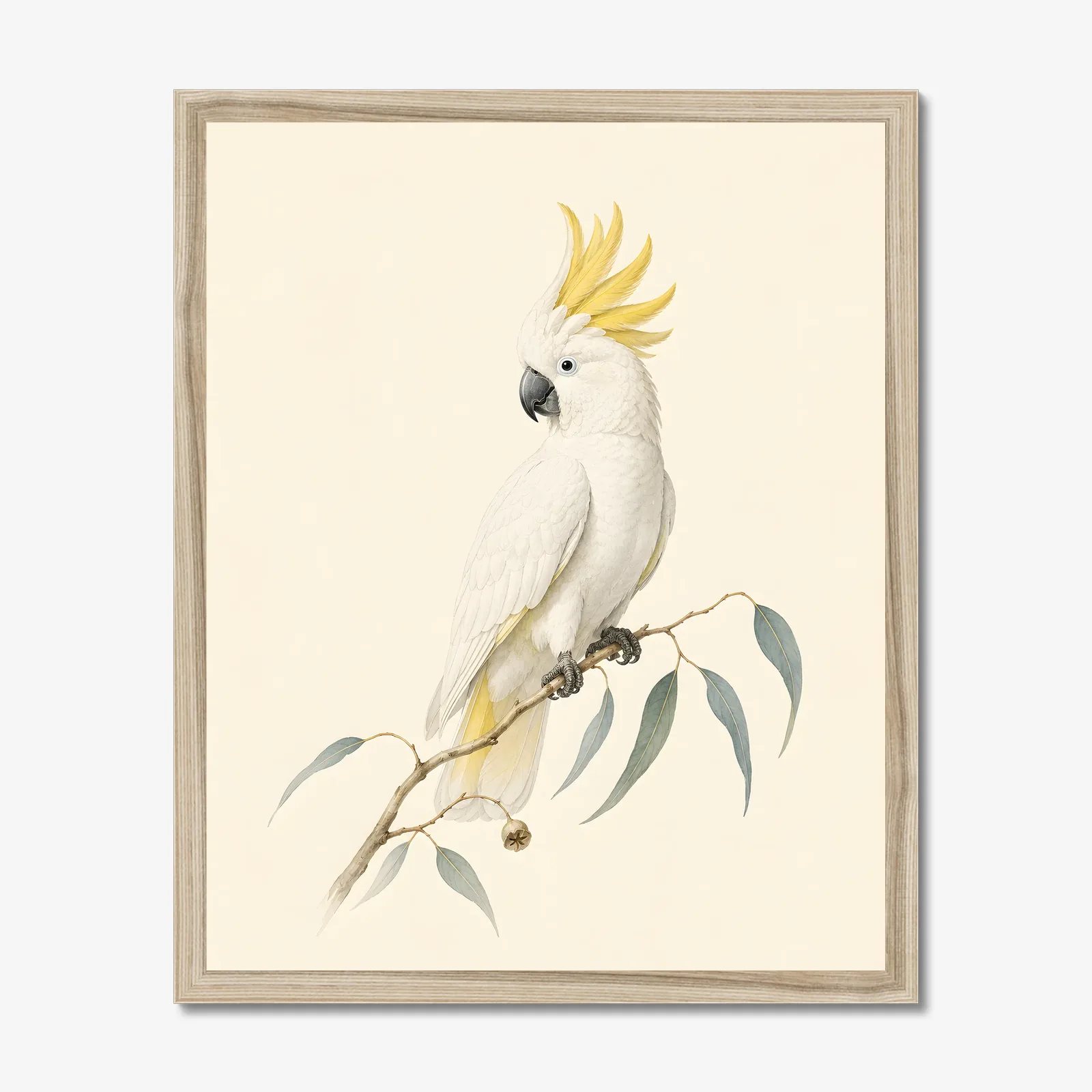 Sulphur-crested Cockatoo Print in a natural frame