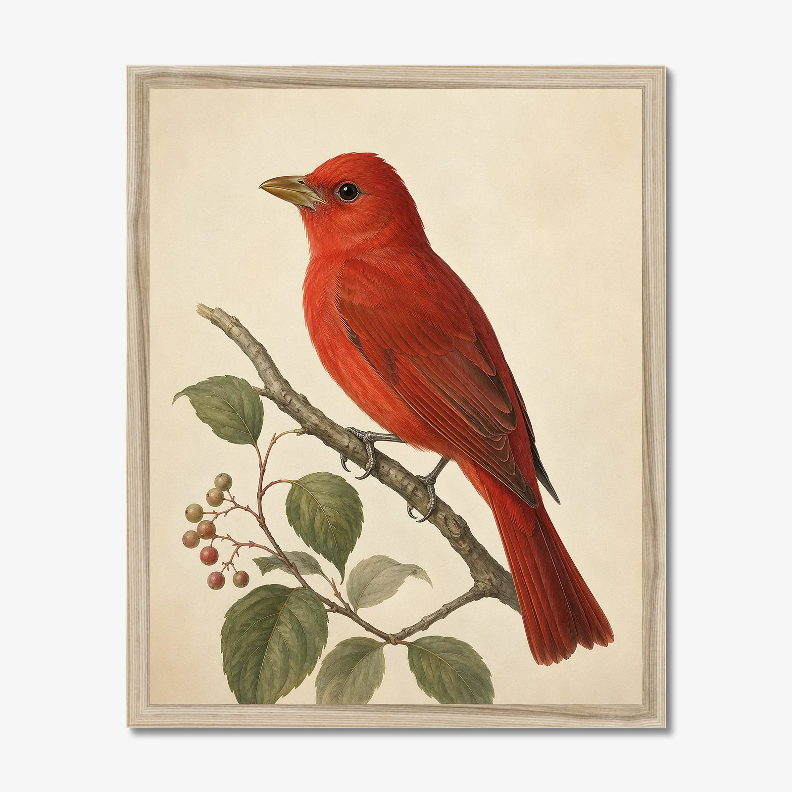 Summer Tanager Print shown as a fine-art print