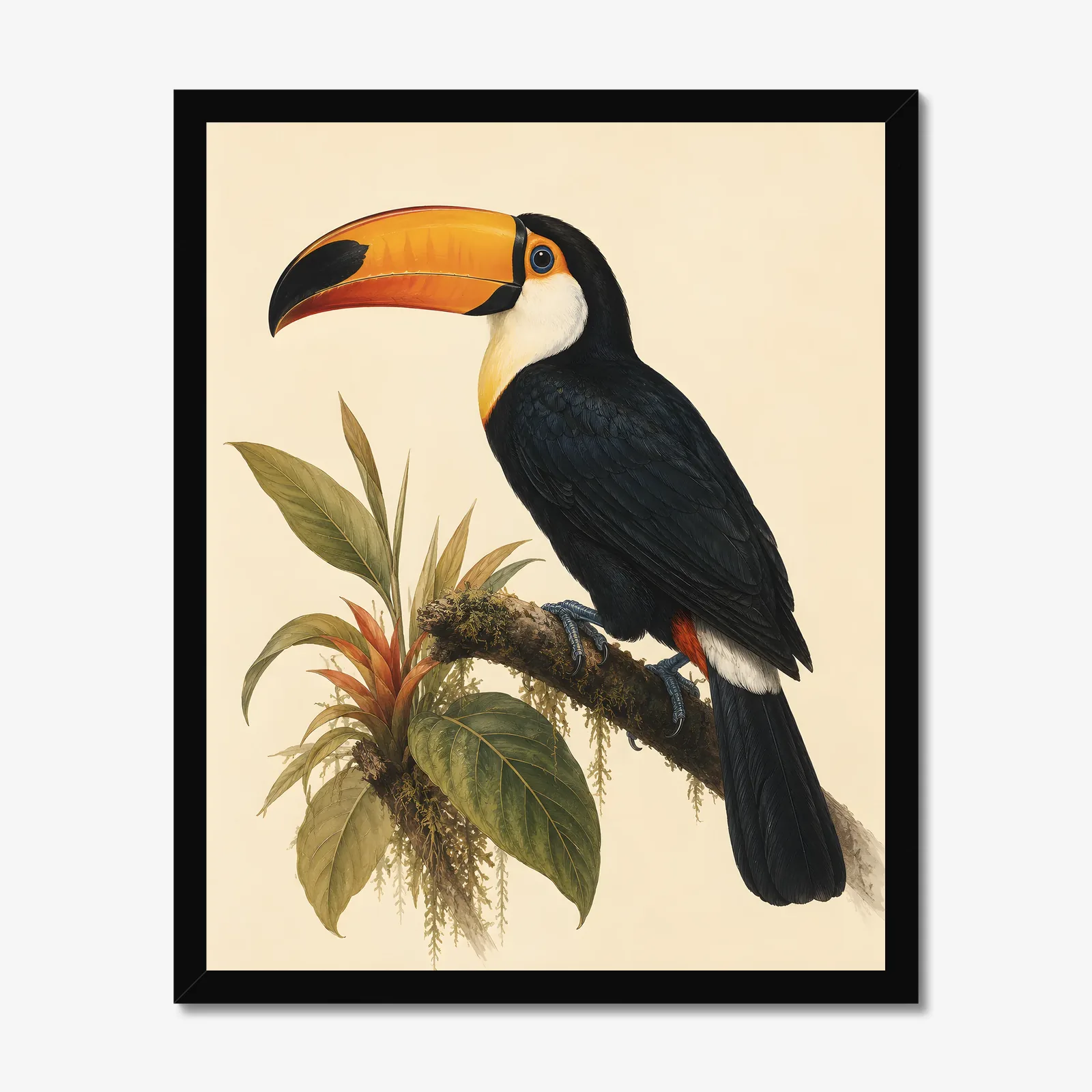 Toco Toucan Print in a black frame