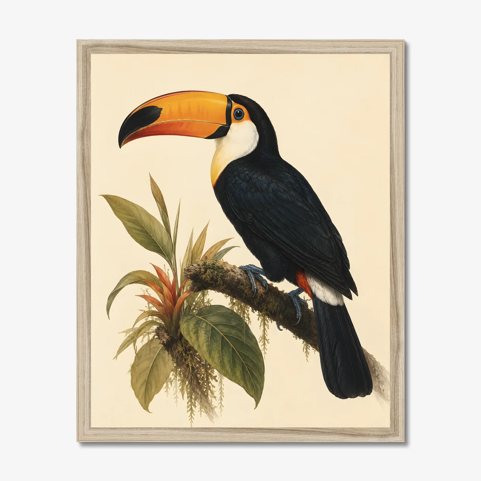 Toco Toucan Print shown as a fine-art print