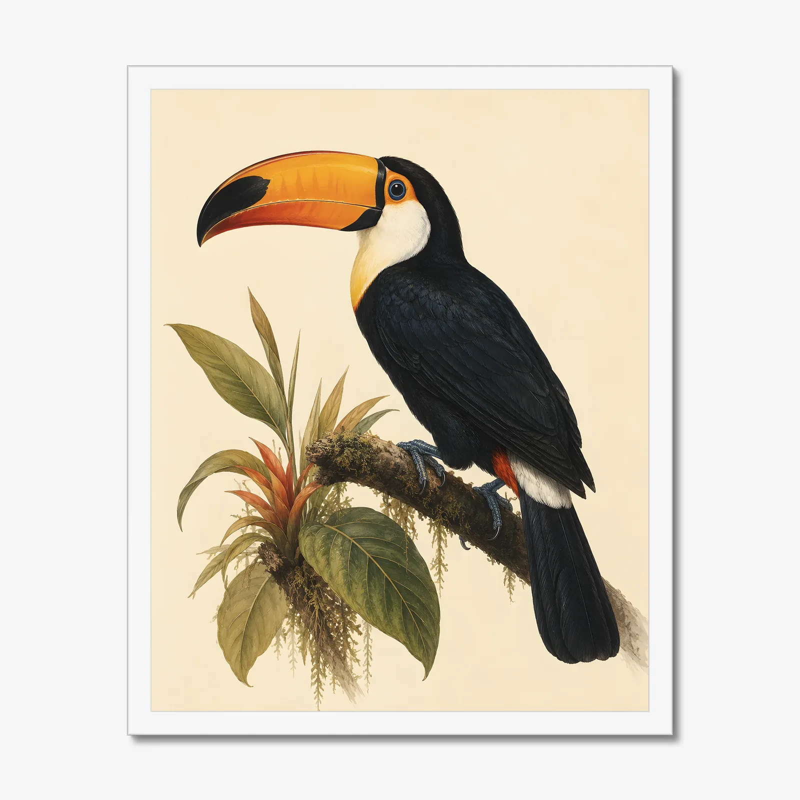 Toco Toucan Print in a white frame