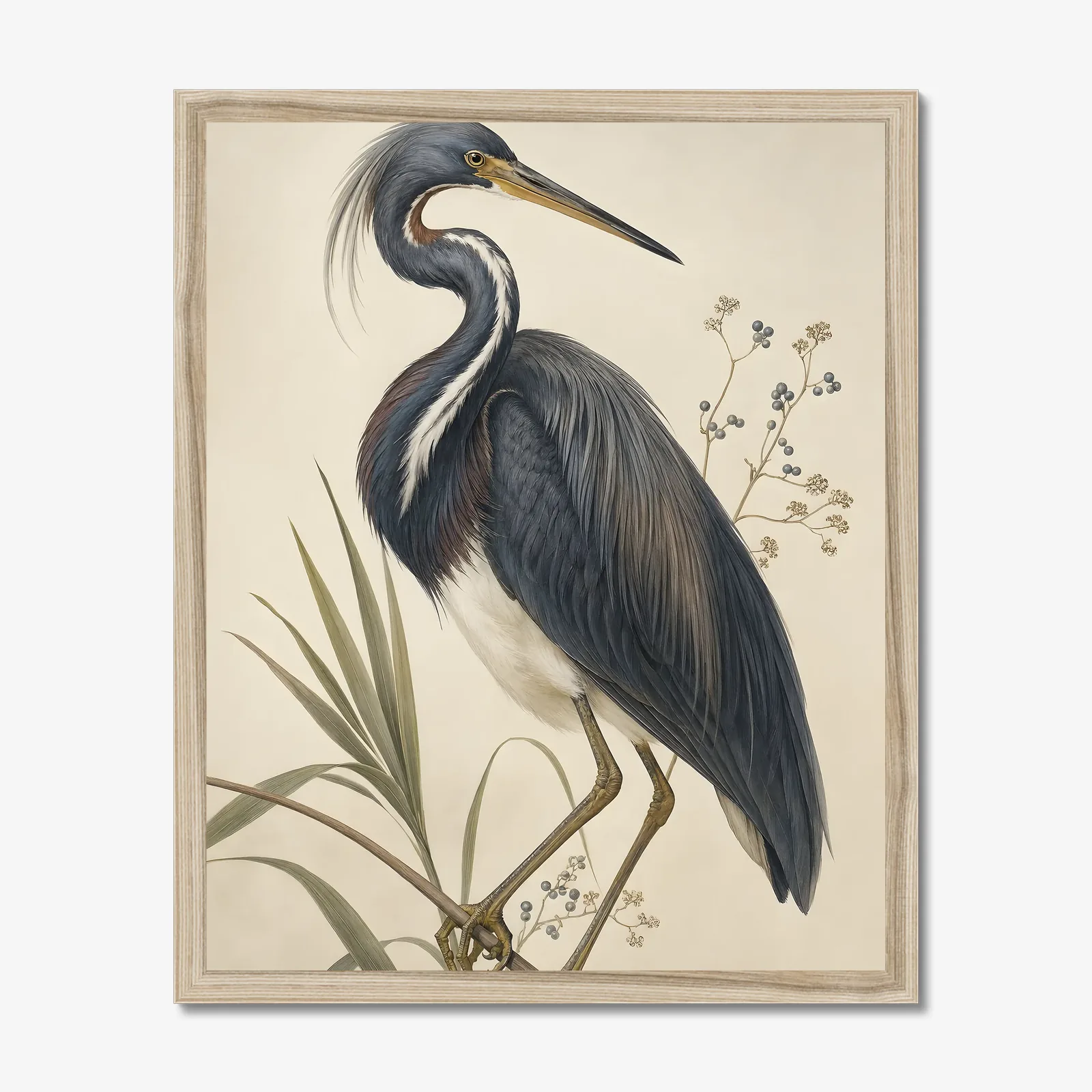 Tricolored Heron Print in a natural frame