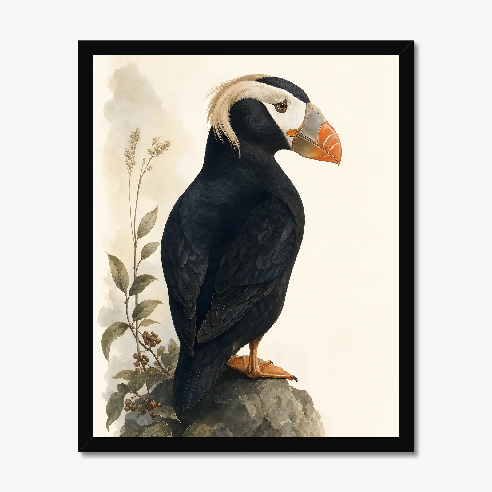 Tufted Puffin Print in a black frame