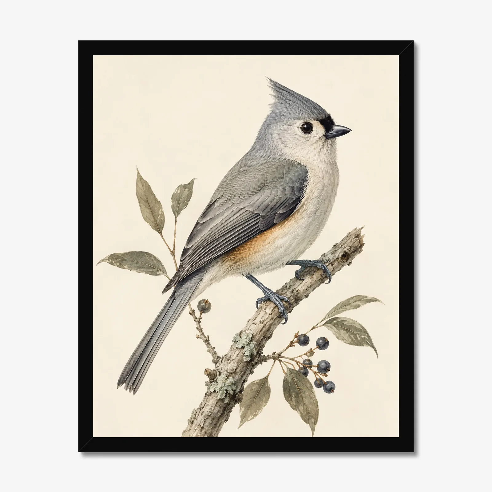Tufted Titmouse Print in a black frame