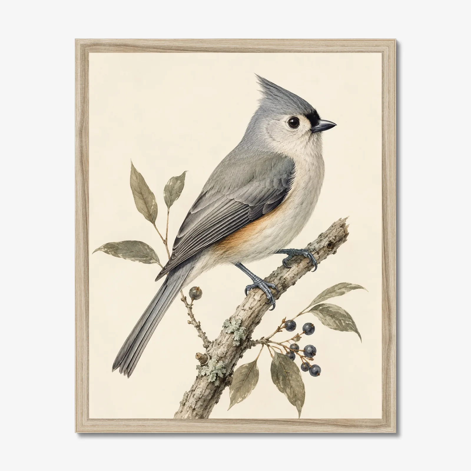 Tufted Titmouse Print in a natural frame
