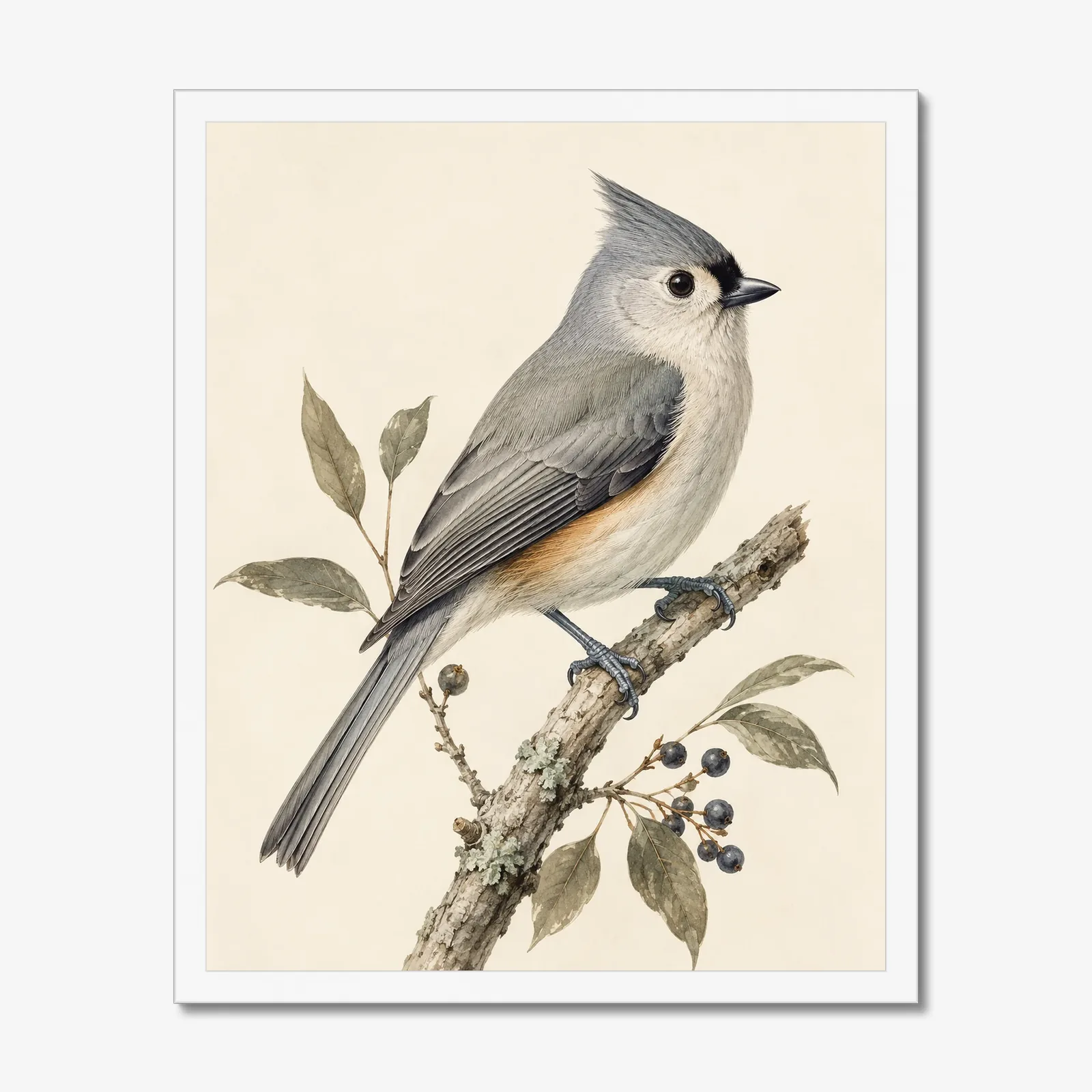 Tufted Titmouse Print in a white frame