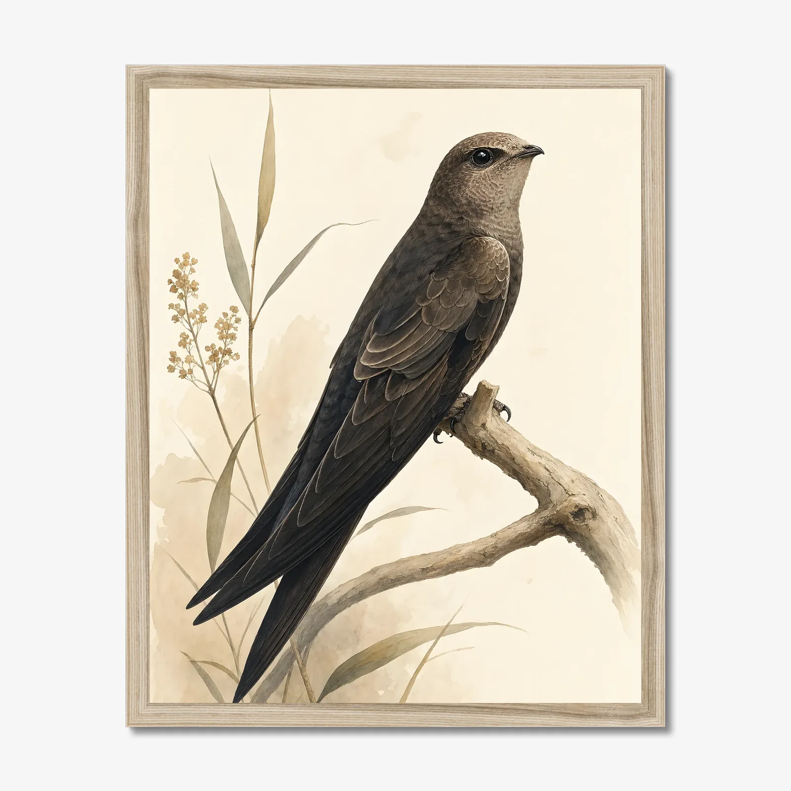 Vaux's Swift Print in a natural frame