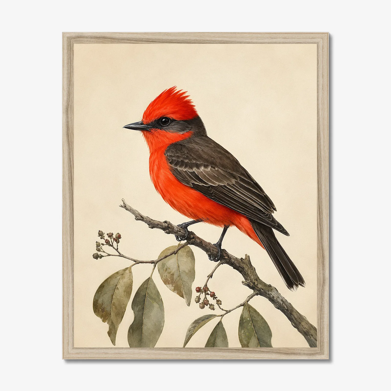 Vermilion Flycatcher Print in a natural frame
