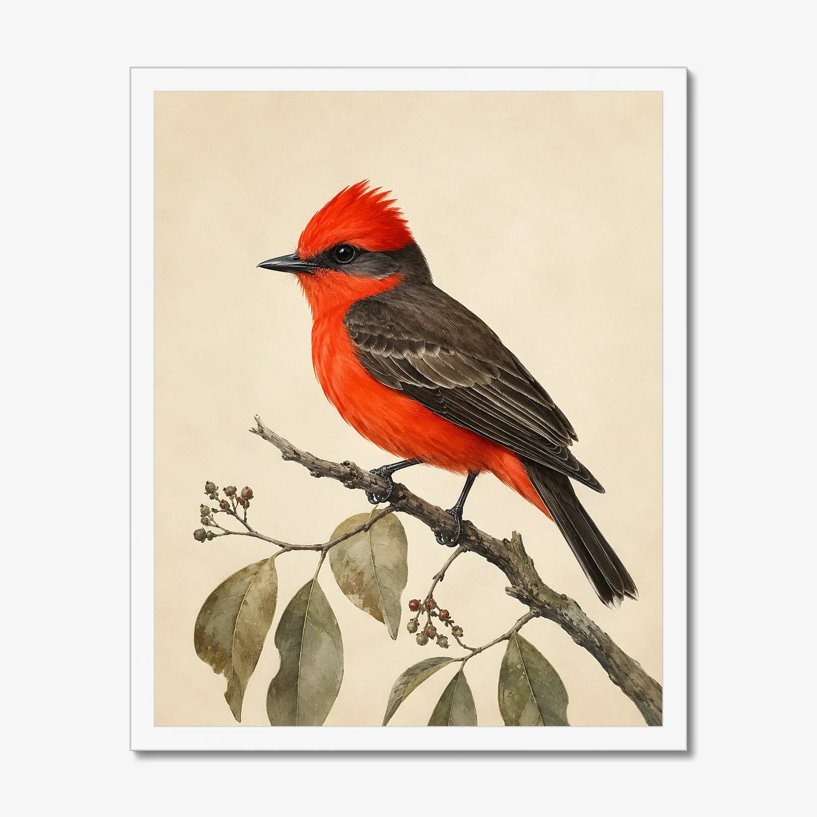 Vermilion Flycatcher Print in a white frame
