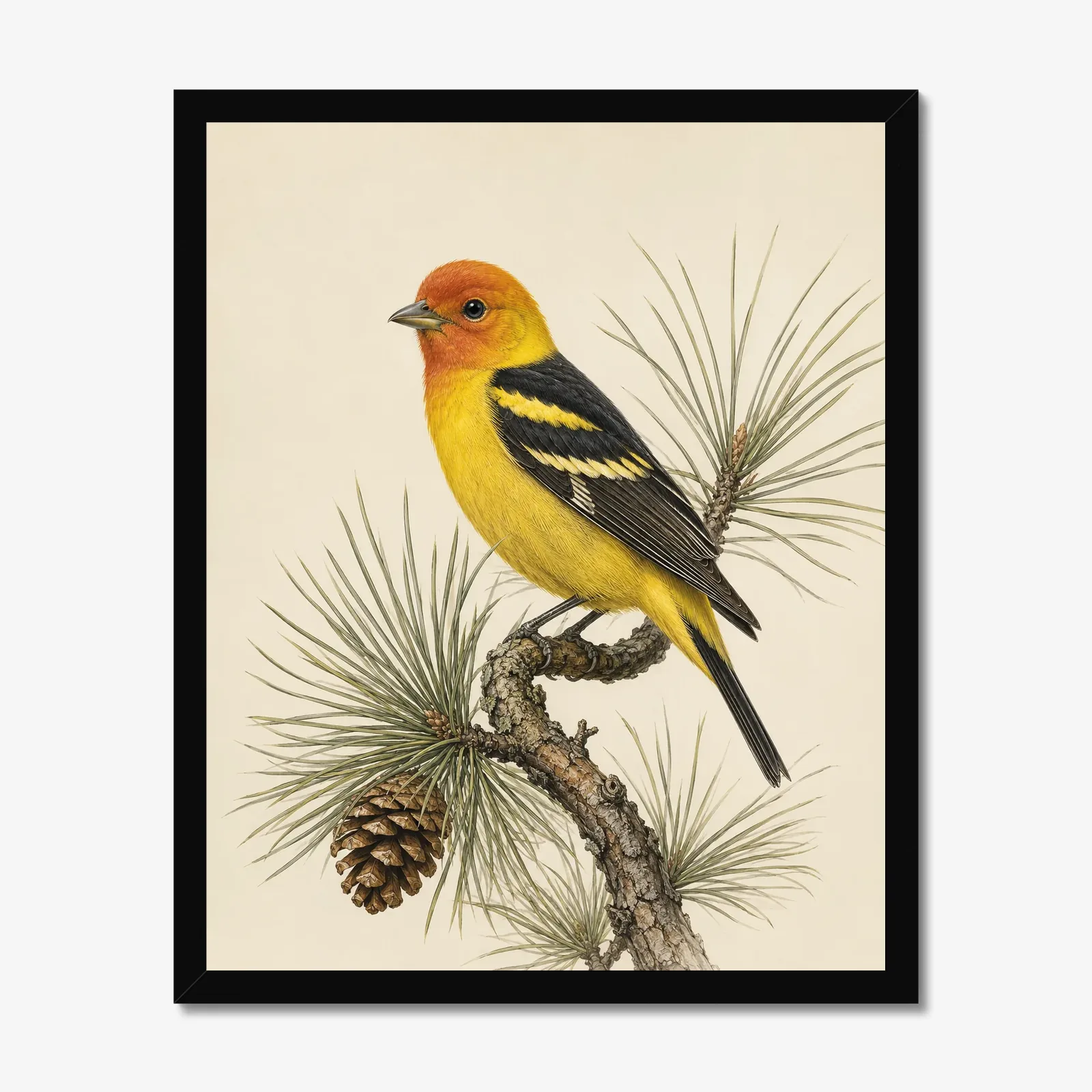 Western Tanager Print in a black frame