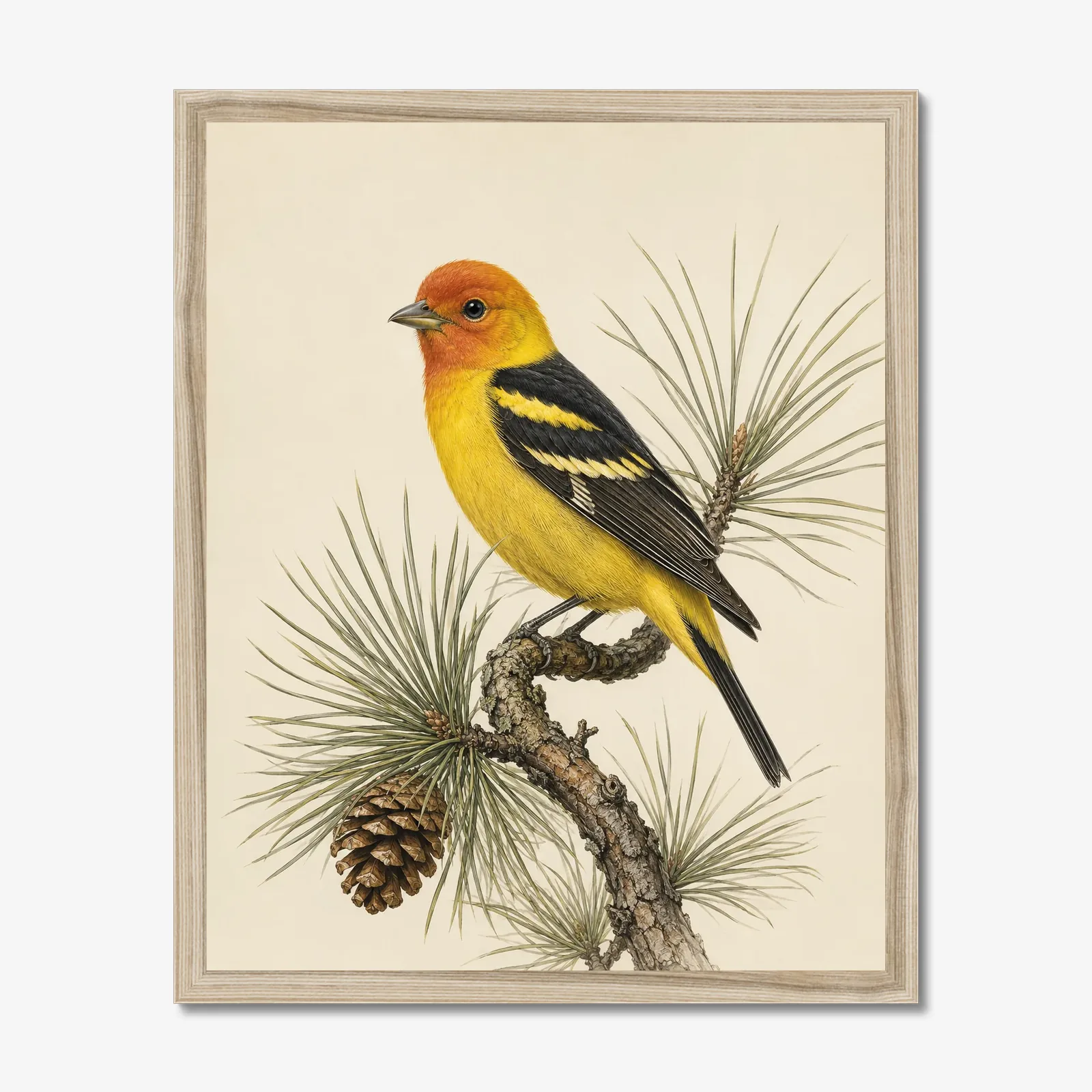 Western Tanager Print shown as a fine-art print