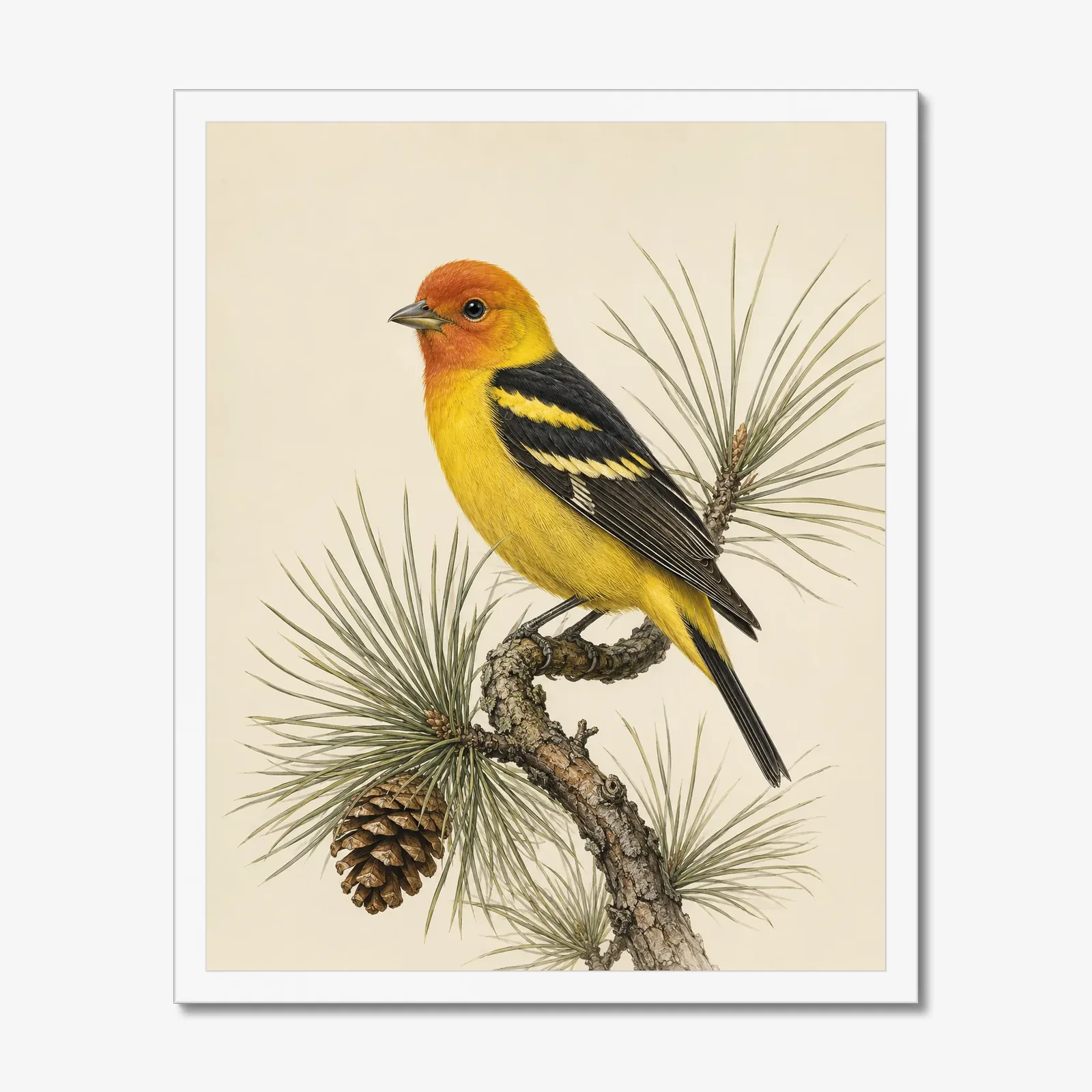 Western Tanager Print in a white frame