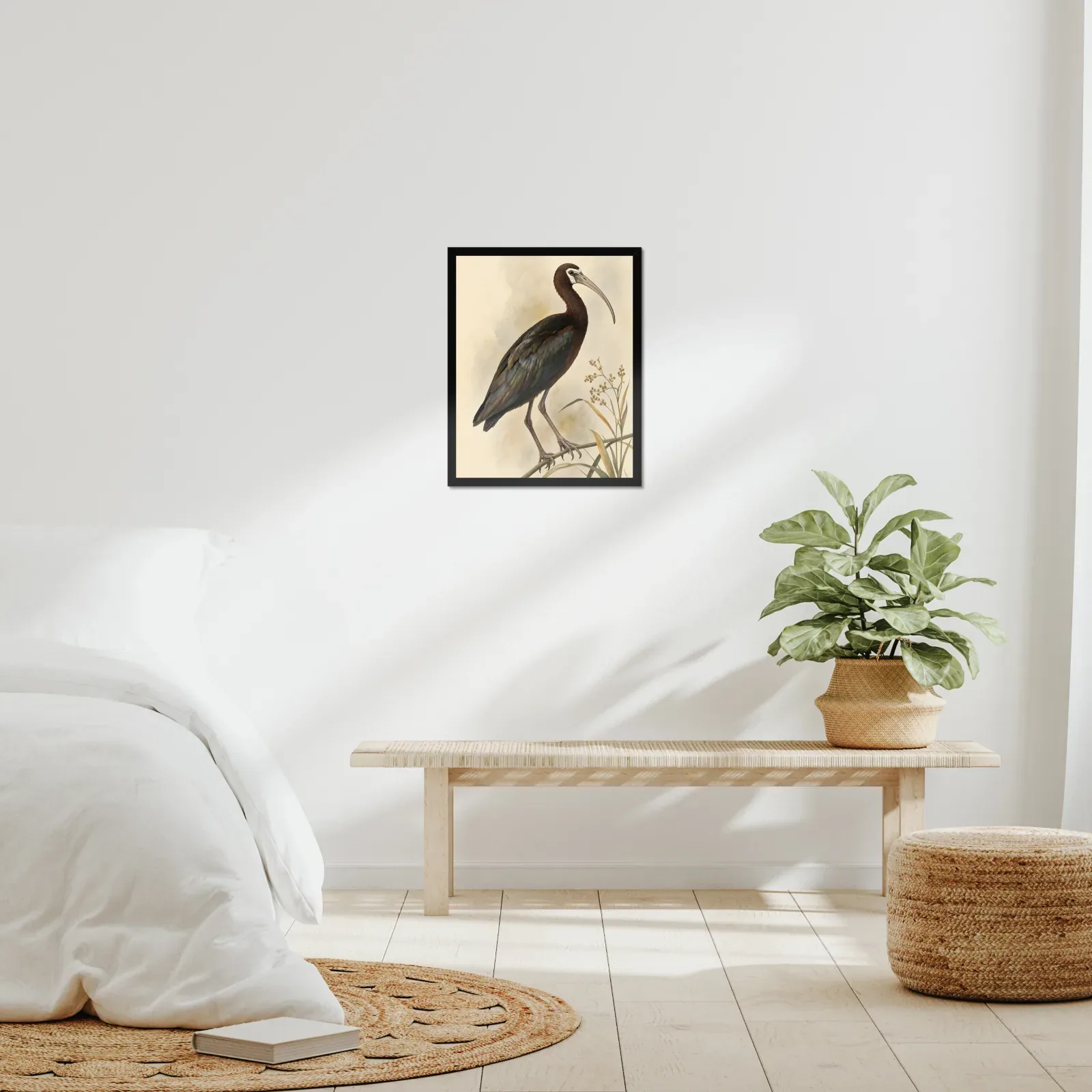White Faced Ibis Print framed at 16x20 inches, shown on a wall to scale