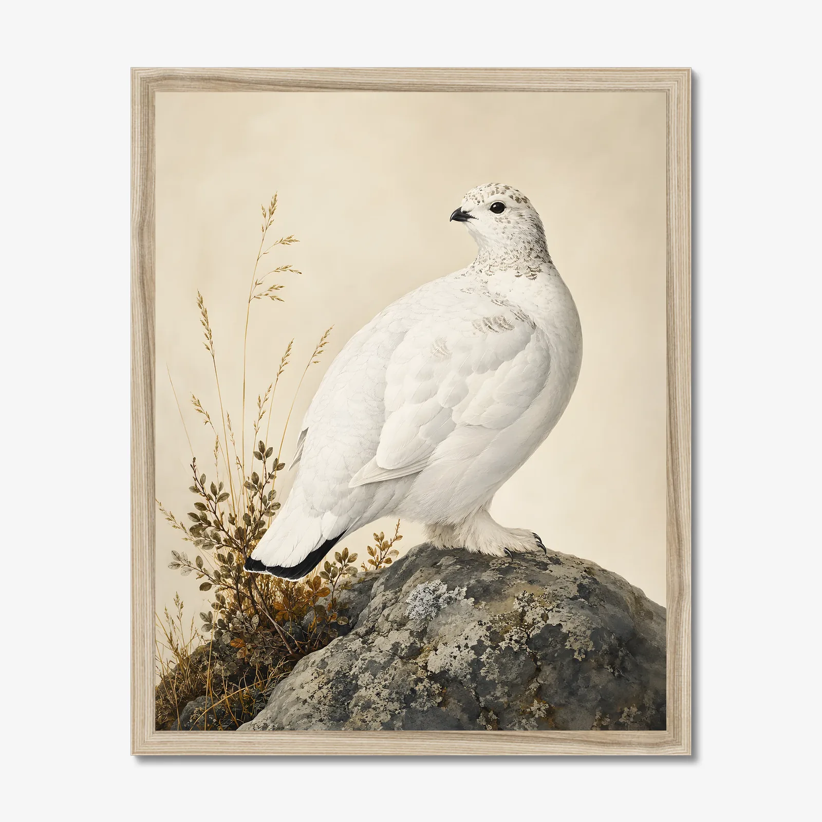 White Tailed Ptarmigan Print in a natural frame