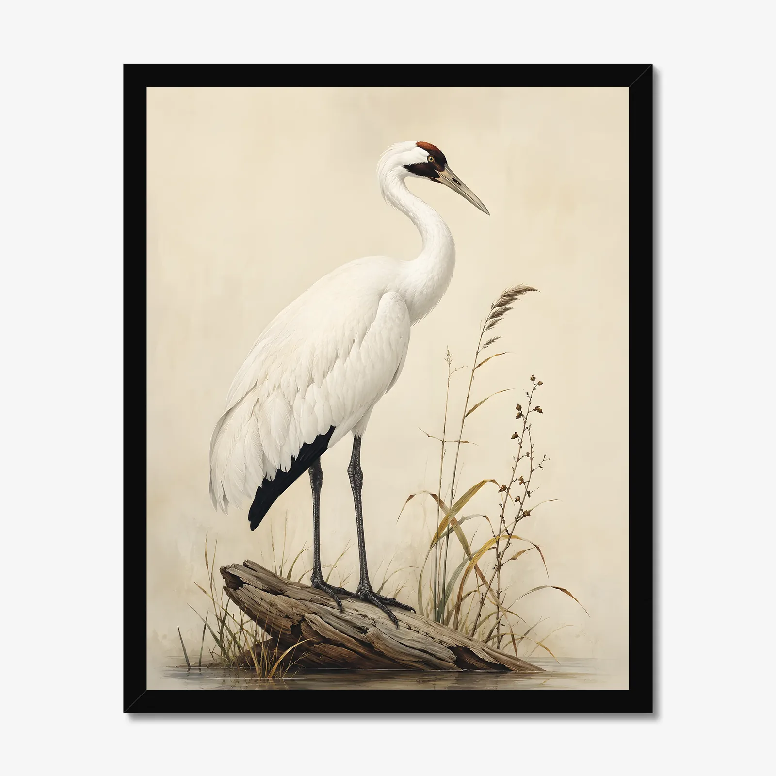 Whooping Crane Print in a black frame