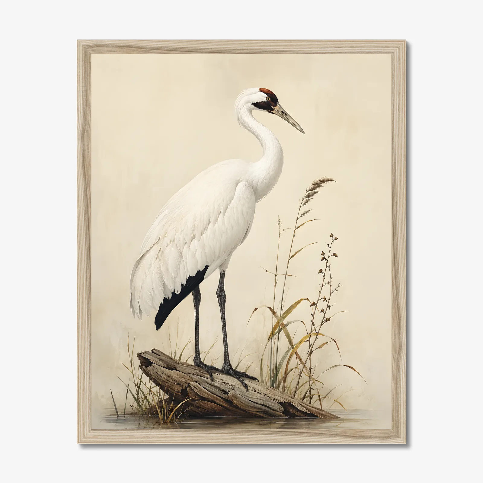 Whooping Crane Print in a natural frame