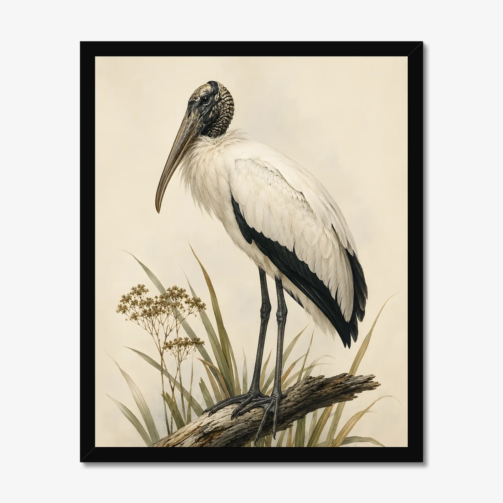 Wood Stork Print in a black frame