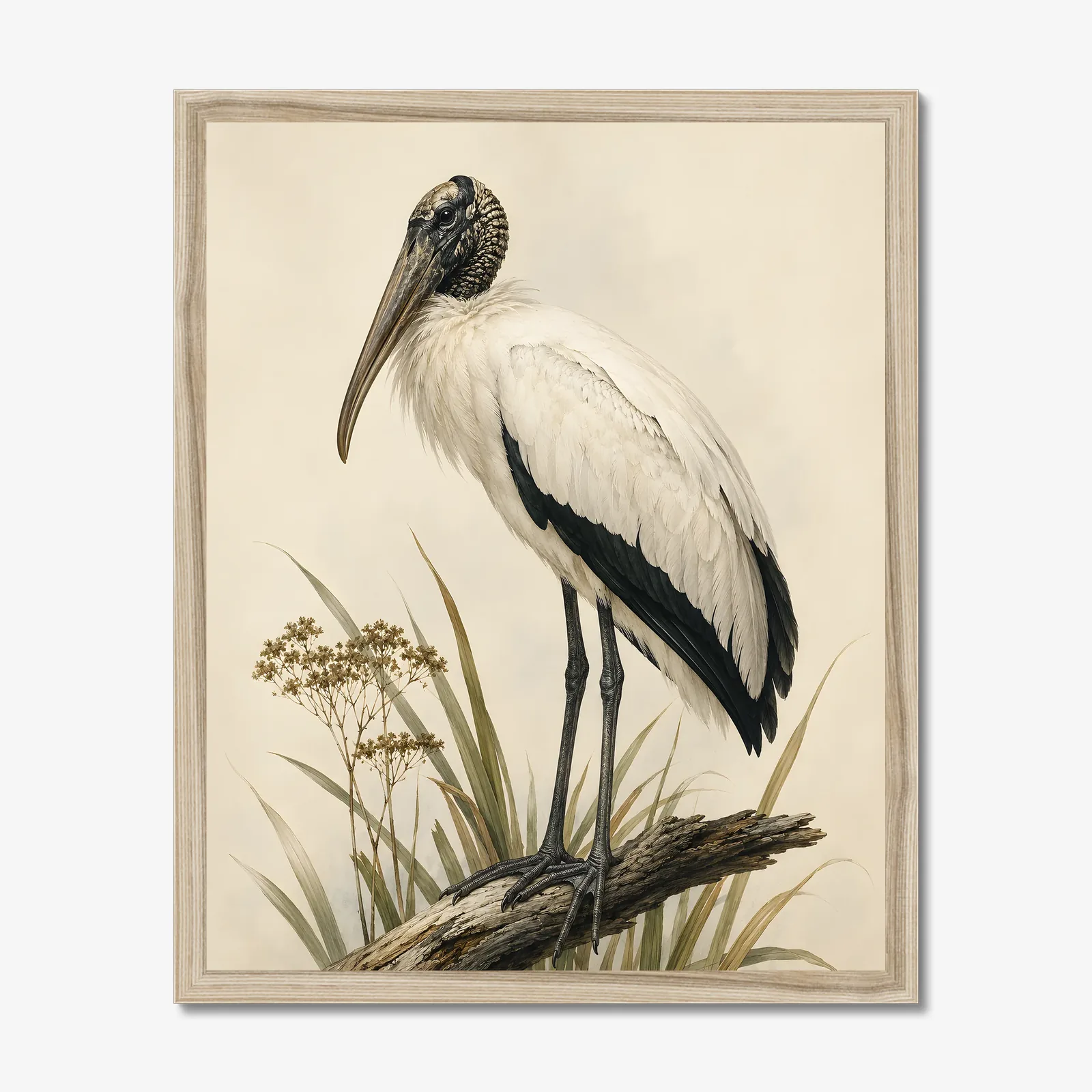 Wood Stork Print in a natural frame