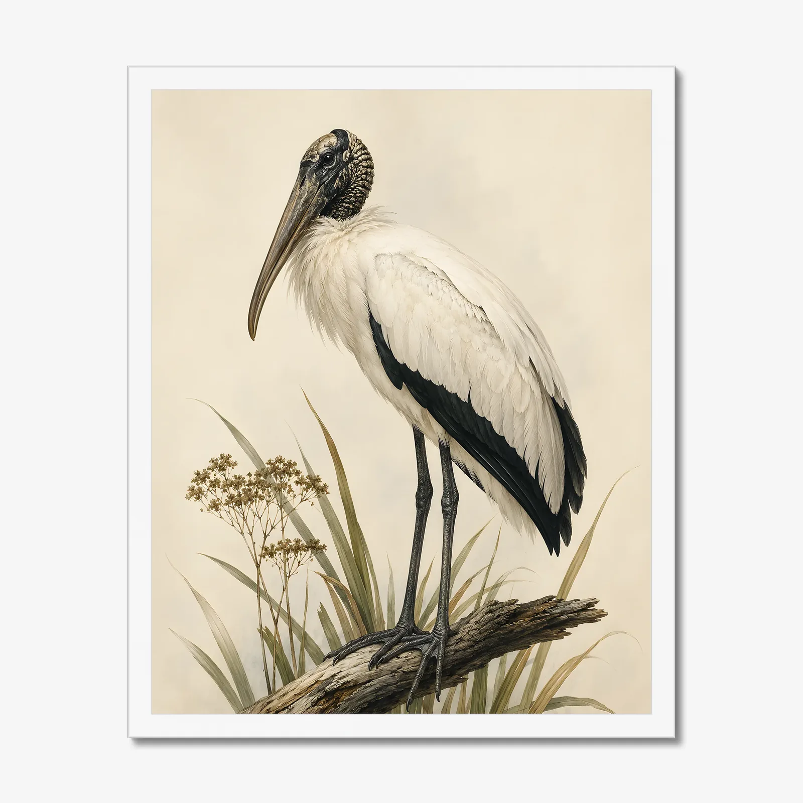 Wood Stork Print in a white frame