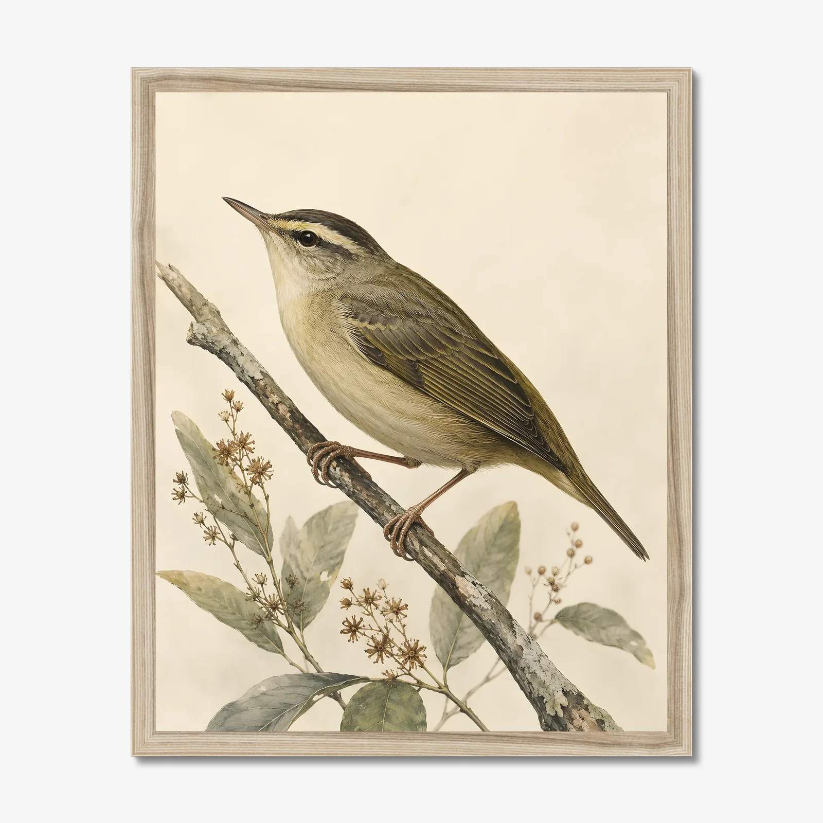 Worm-eating Warbler Print in a natural frame
