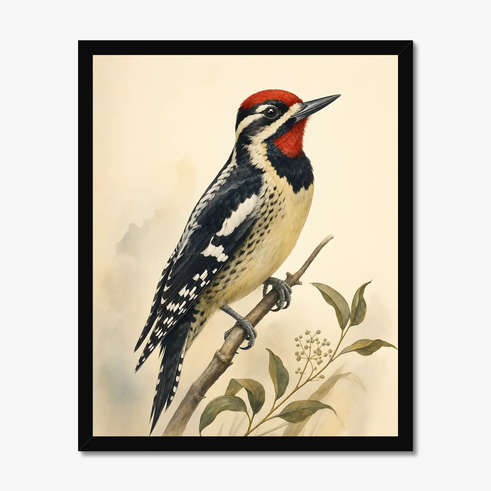 Yellow-bellied Sapsucker Print in a black frame