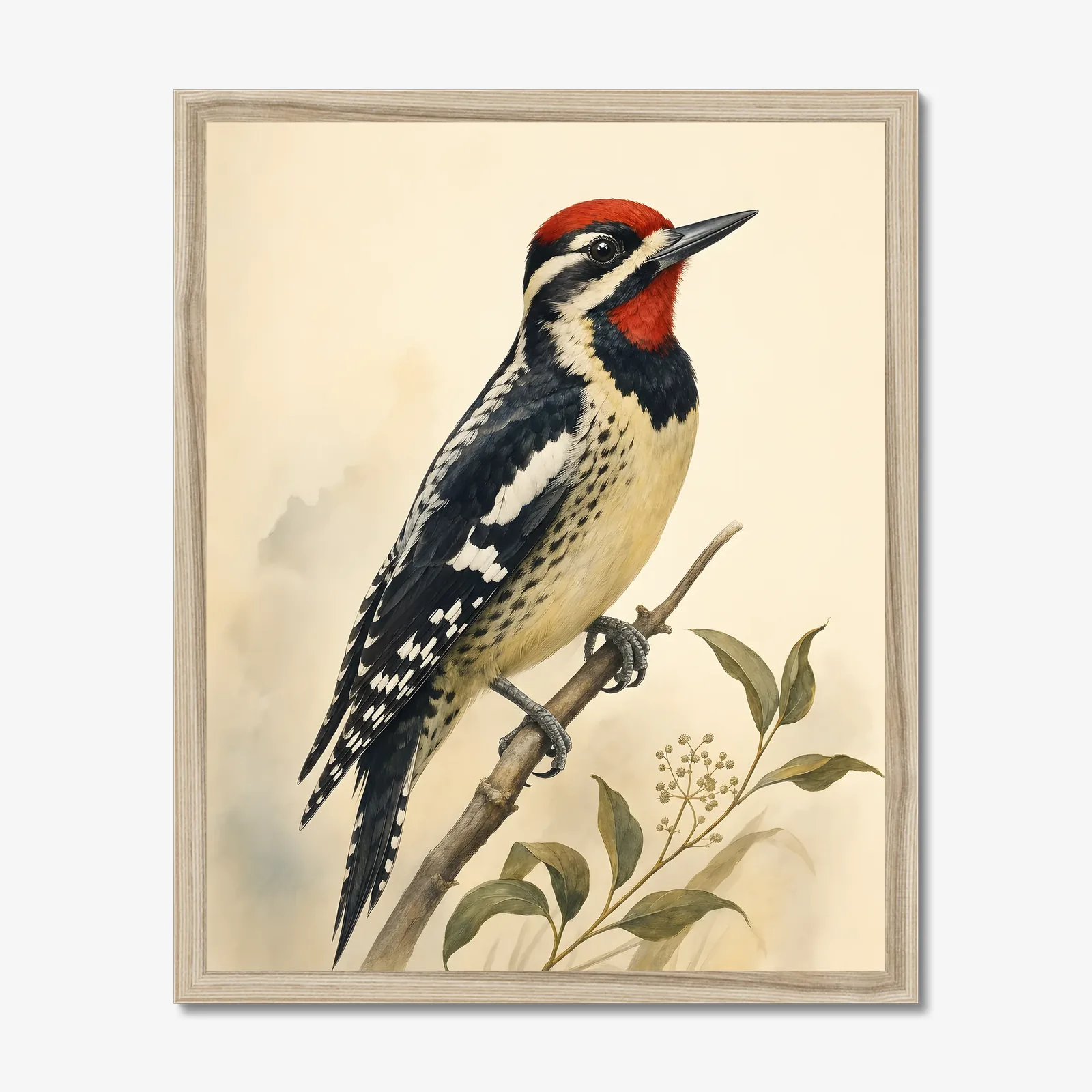 Yellow-bellied Sapsucker Print in a natural frame