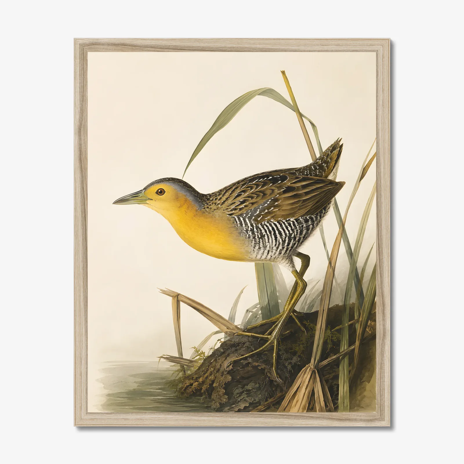 Yellow Rail Print in a natural frame