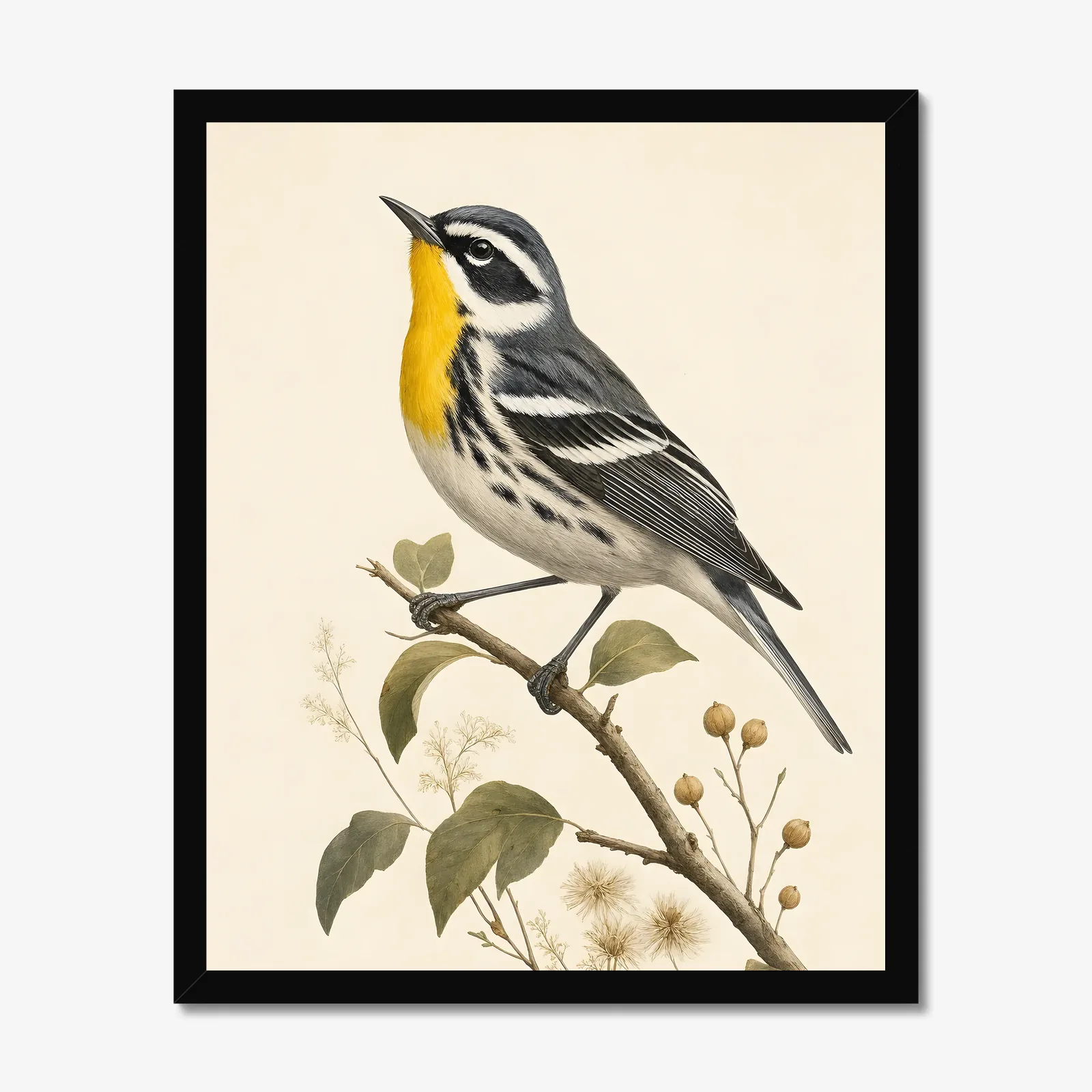 Yellow-throated Warbler Print in a black frame