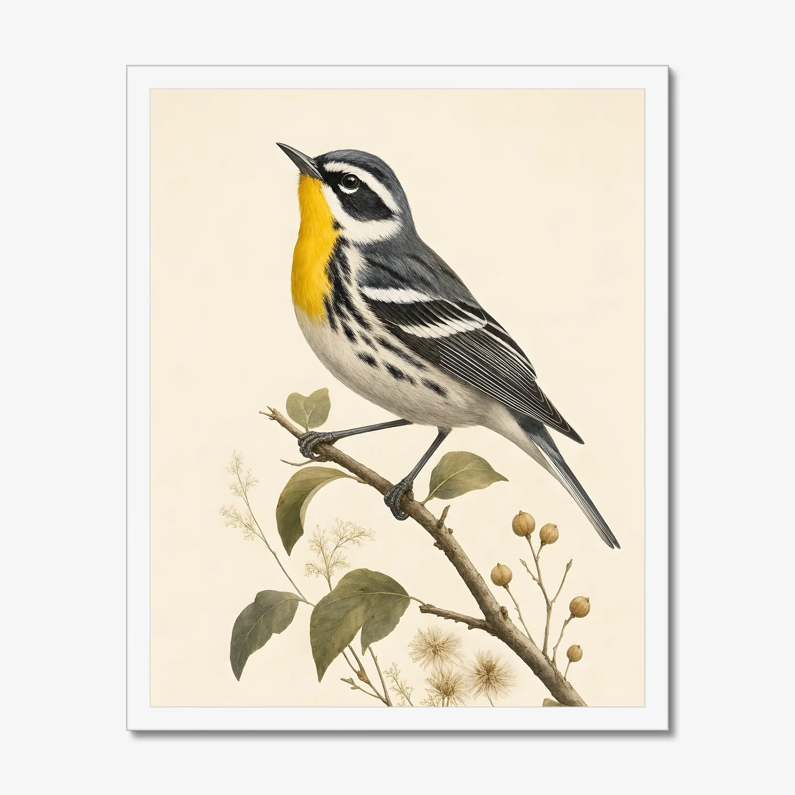 Yellow-throated Warbler Print in a white frame