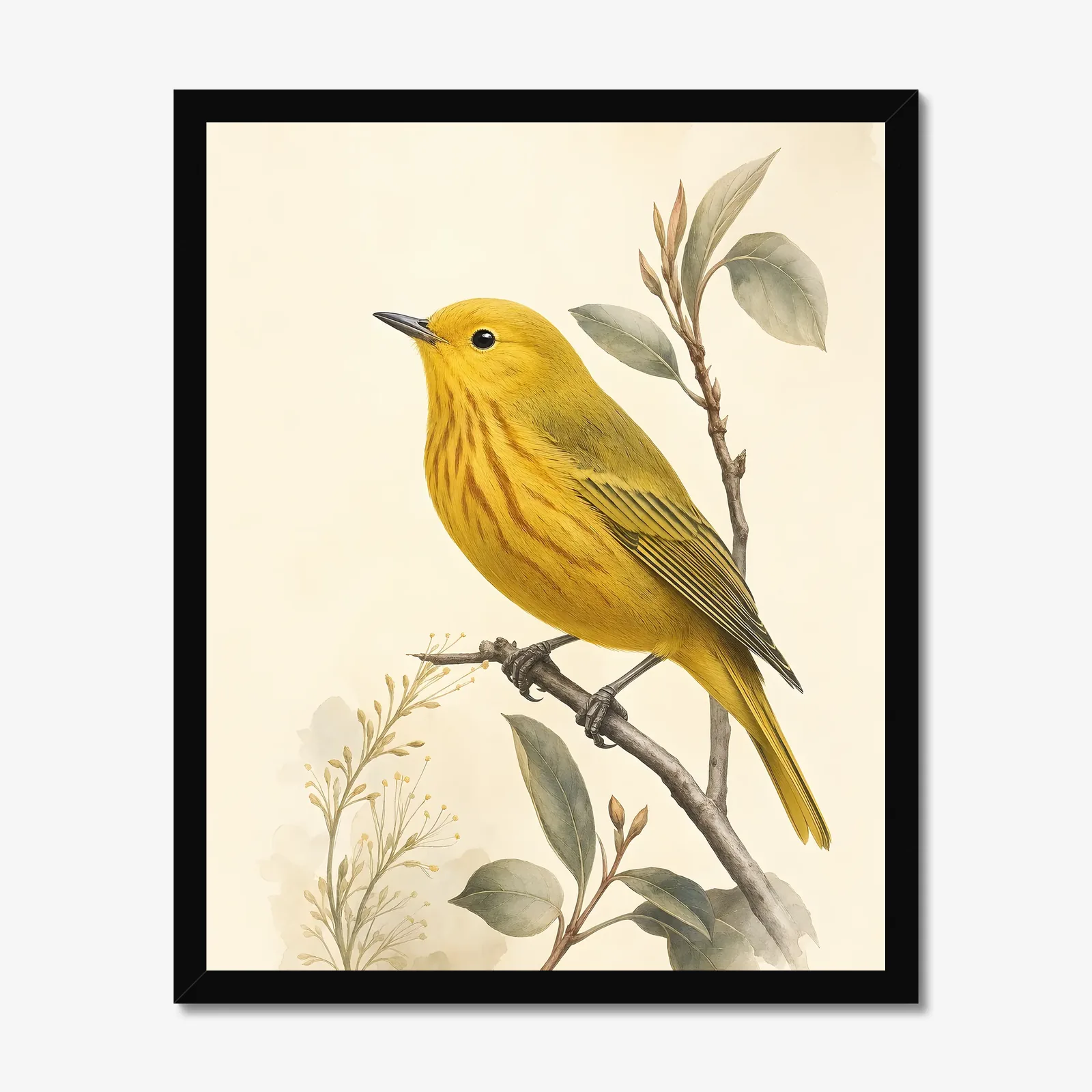 Yellow Warbler Print in a black frame