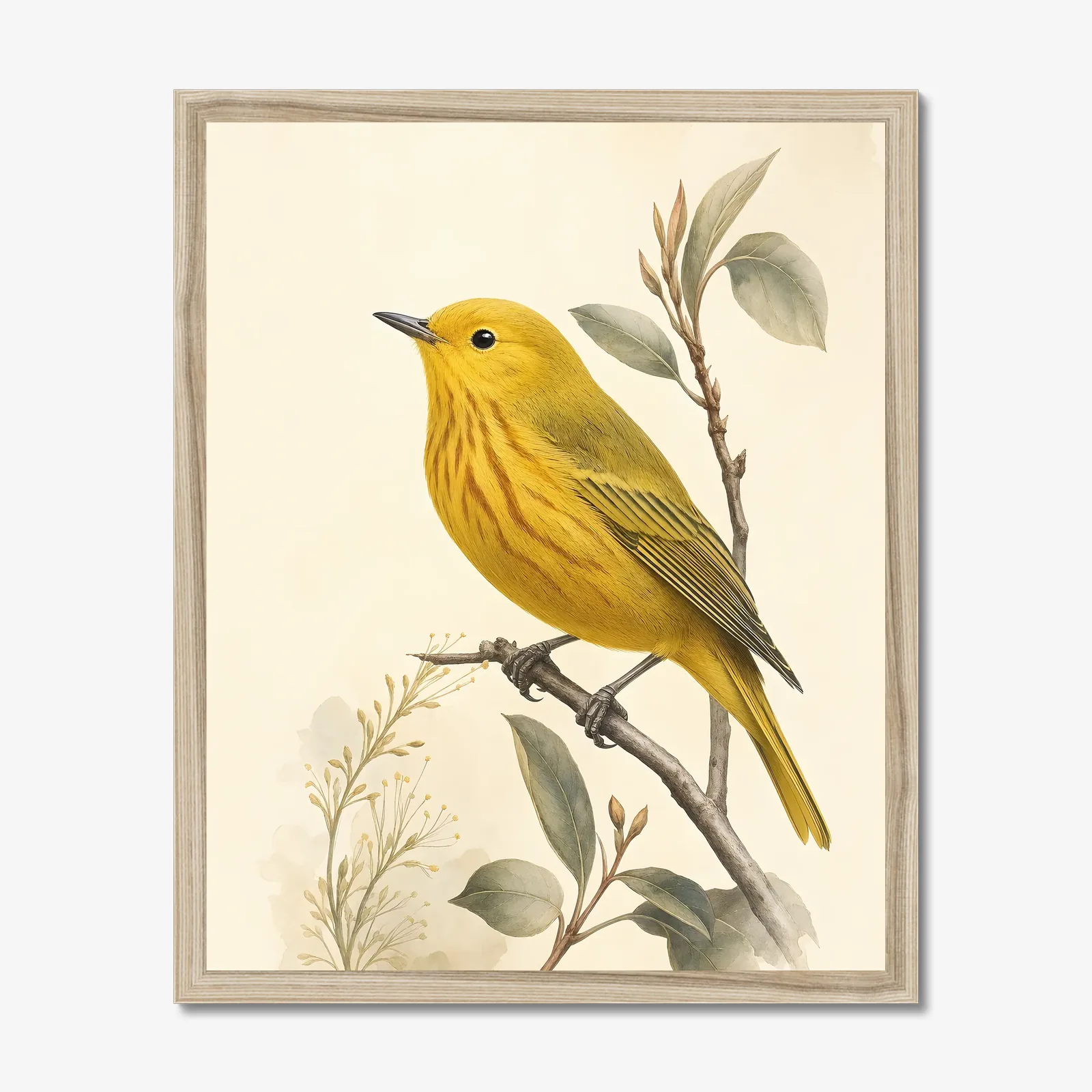 Yellow Warbler Print in a natural frame