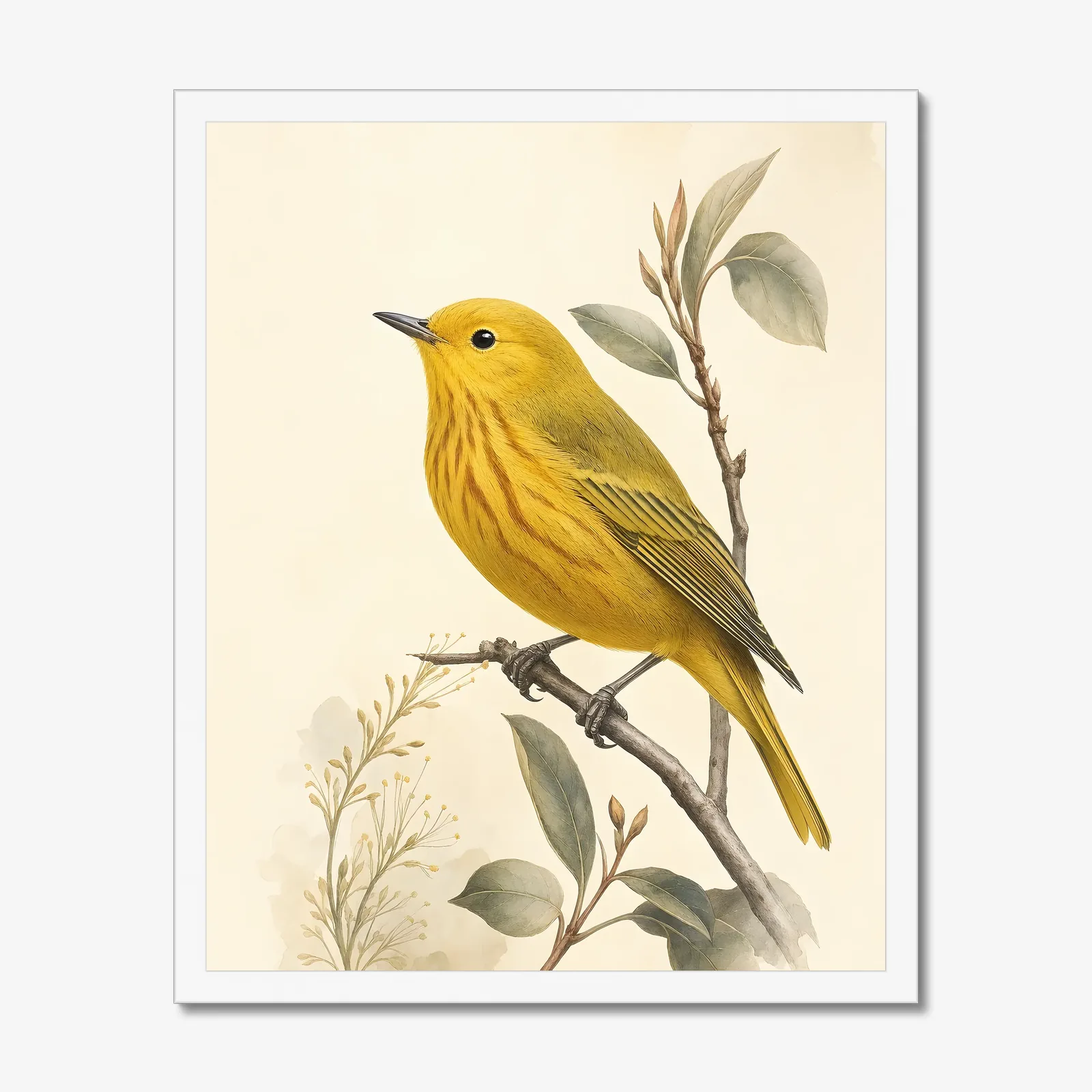 Yellow Warbler Print in a white frame