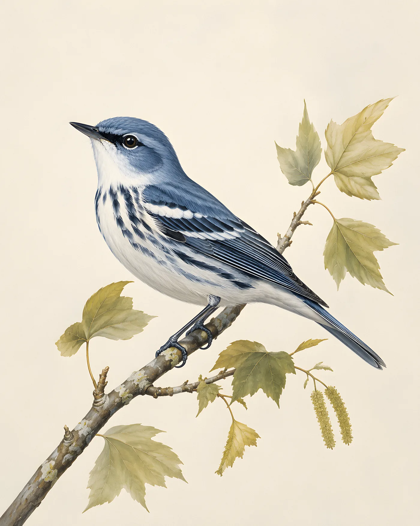Fine-art Cerulean Warbler print rendered in a contemporary Audubon-inspired natural-history style with a soft paper-grain finish