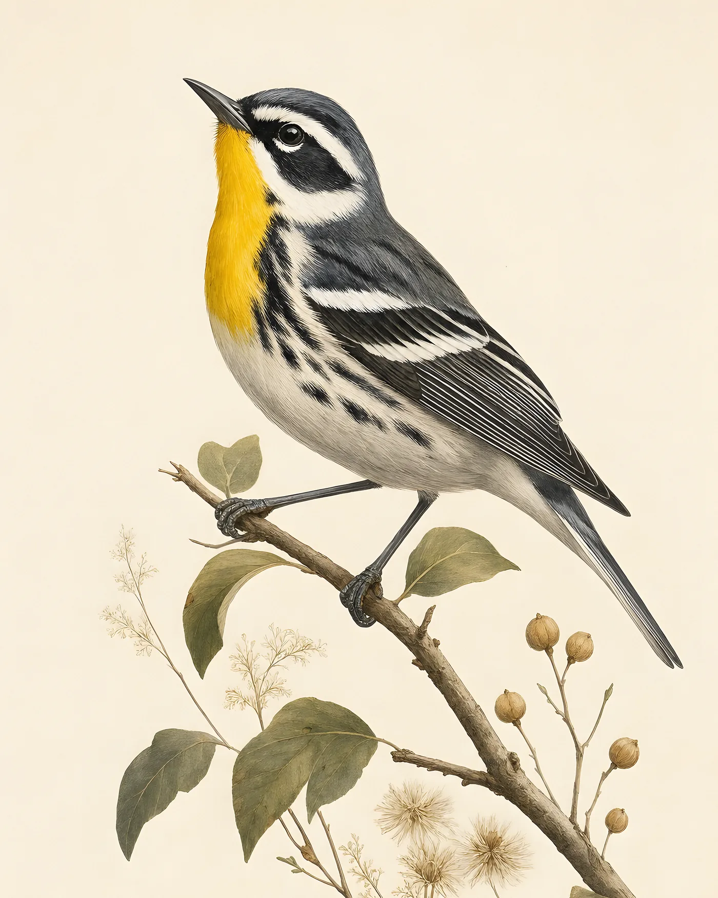 Fine-art Yellow-throated Warbler print rendered in a contemporary Audubon-inspired natural-history style with a soft paper-grain finish