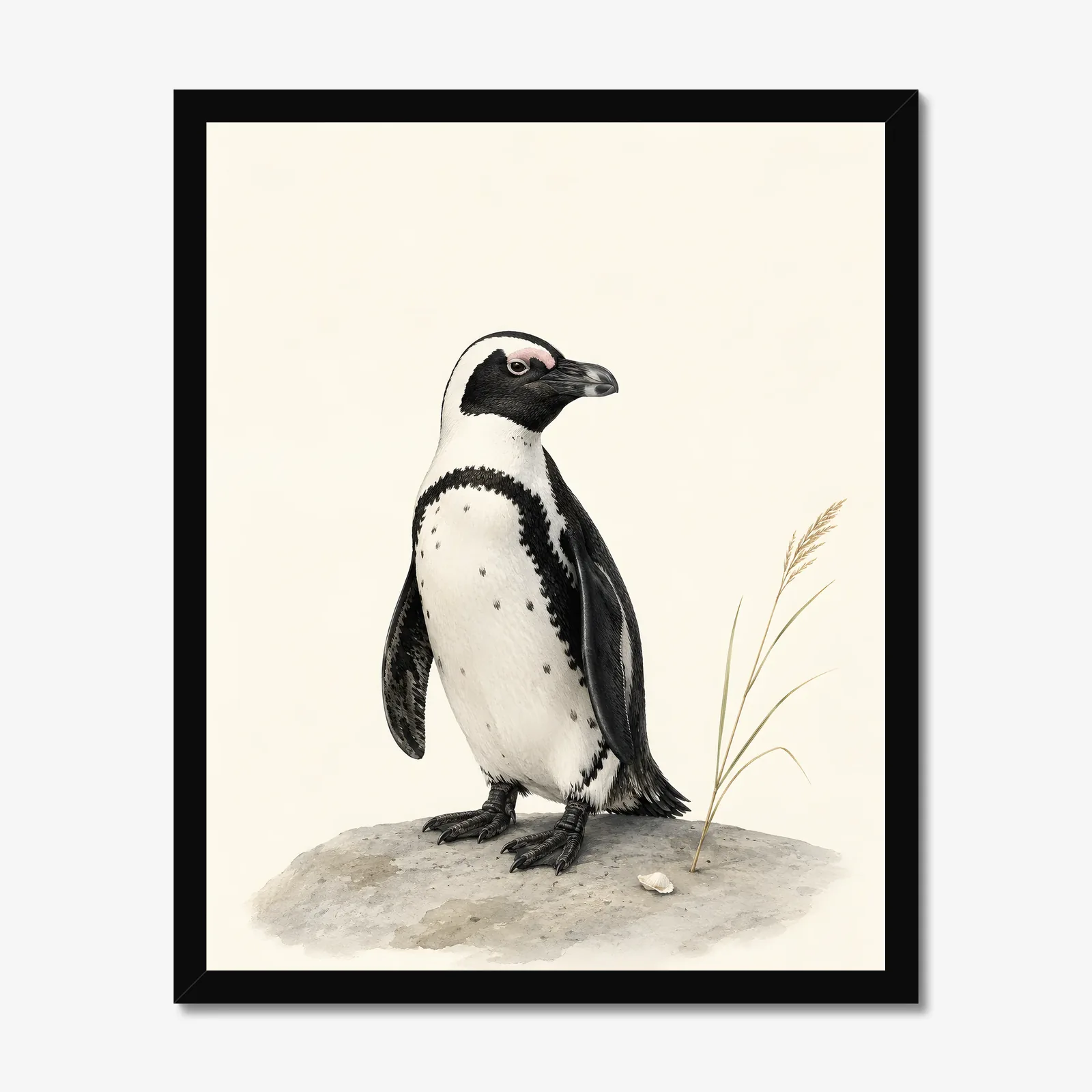 African Penguin Print in a black frame