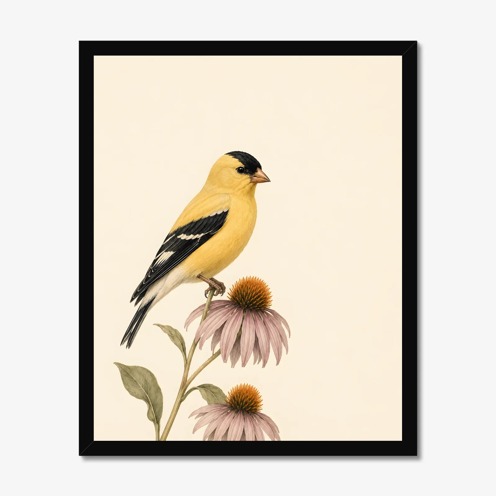 American Goldfinch Print in a black frame