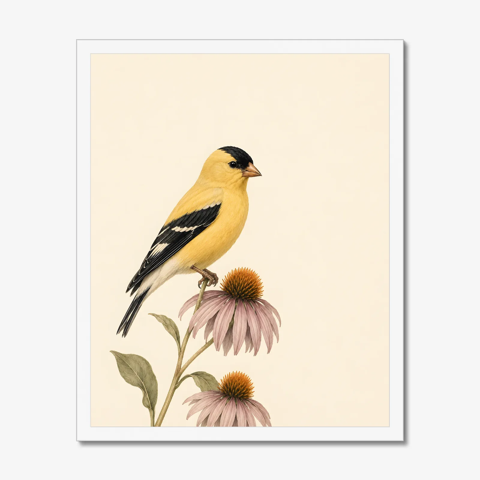 American Goldfinch Print in a white frame