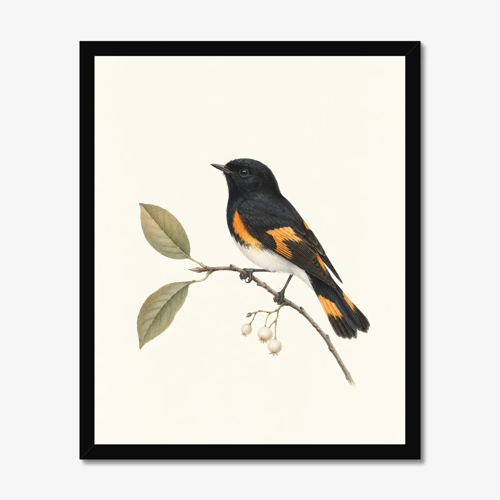 American Redstart Print in a black frame