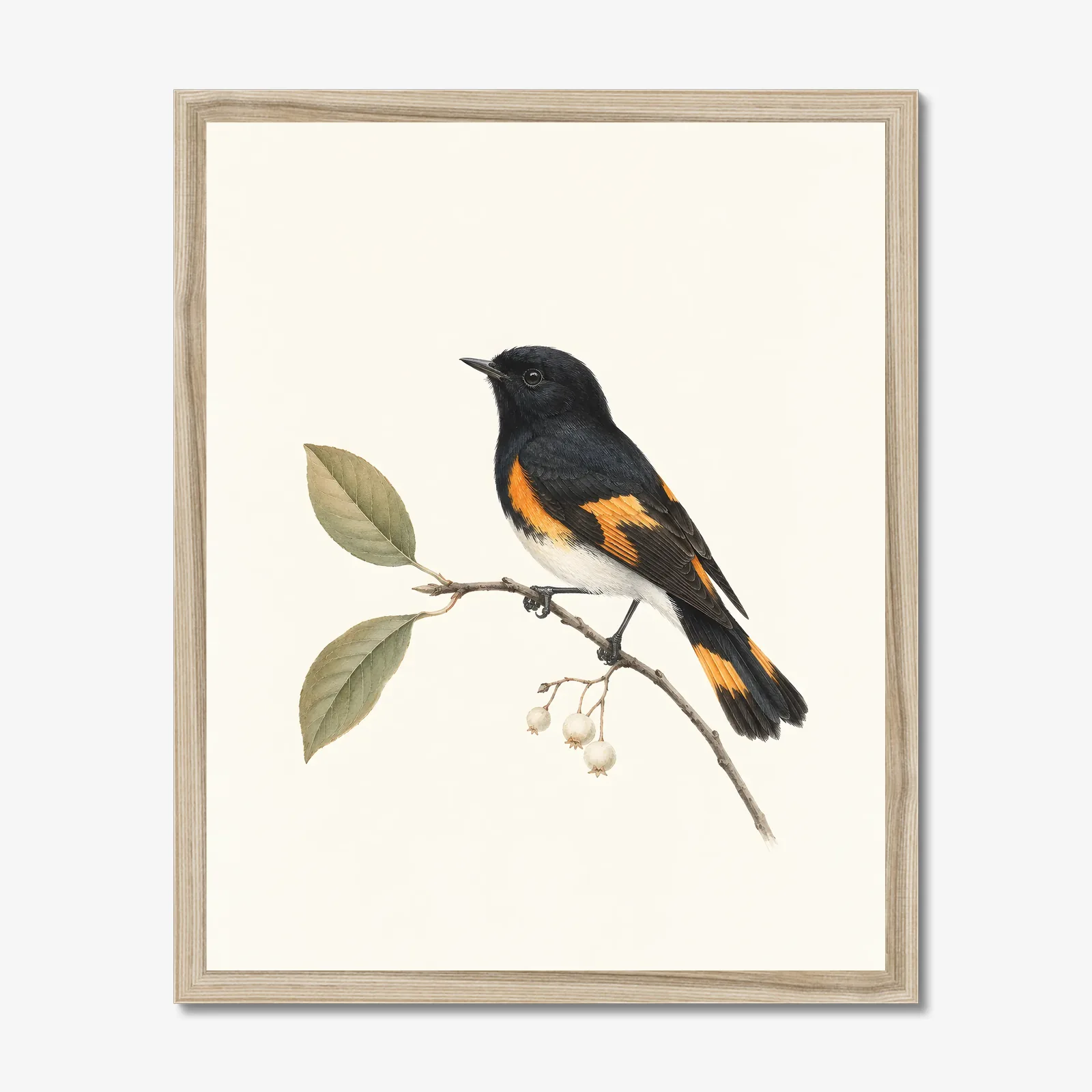 American Redstart Print in a natural frame