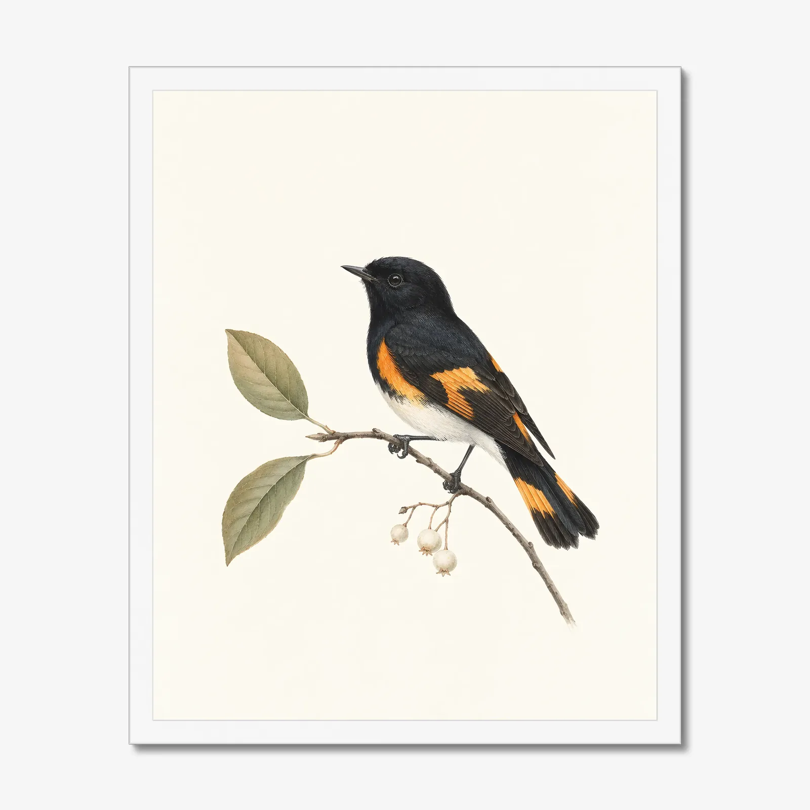American Redstart Print in a white frame