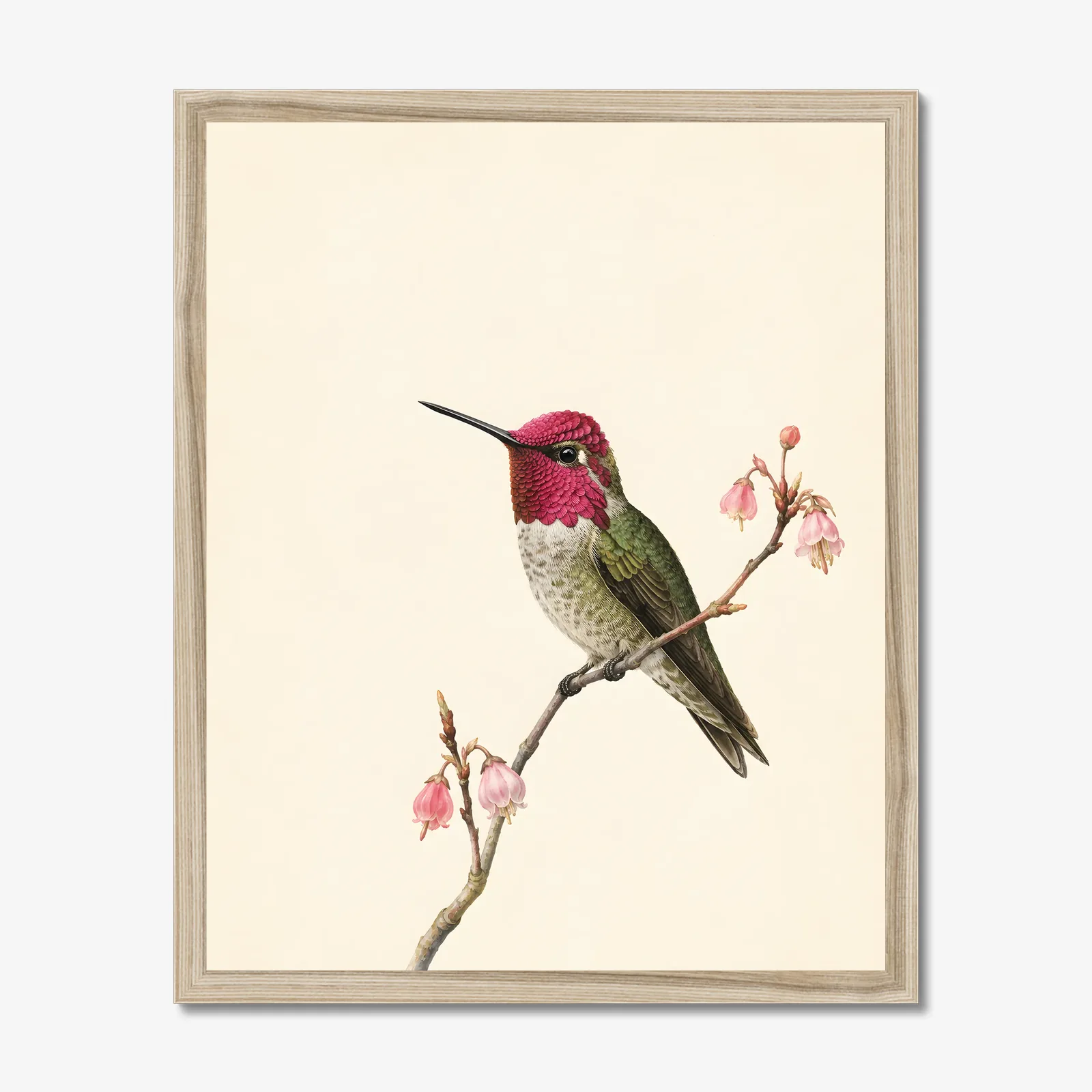 Anna's Hummingbird Print in a natural frame