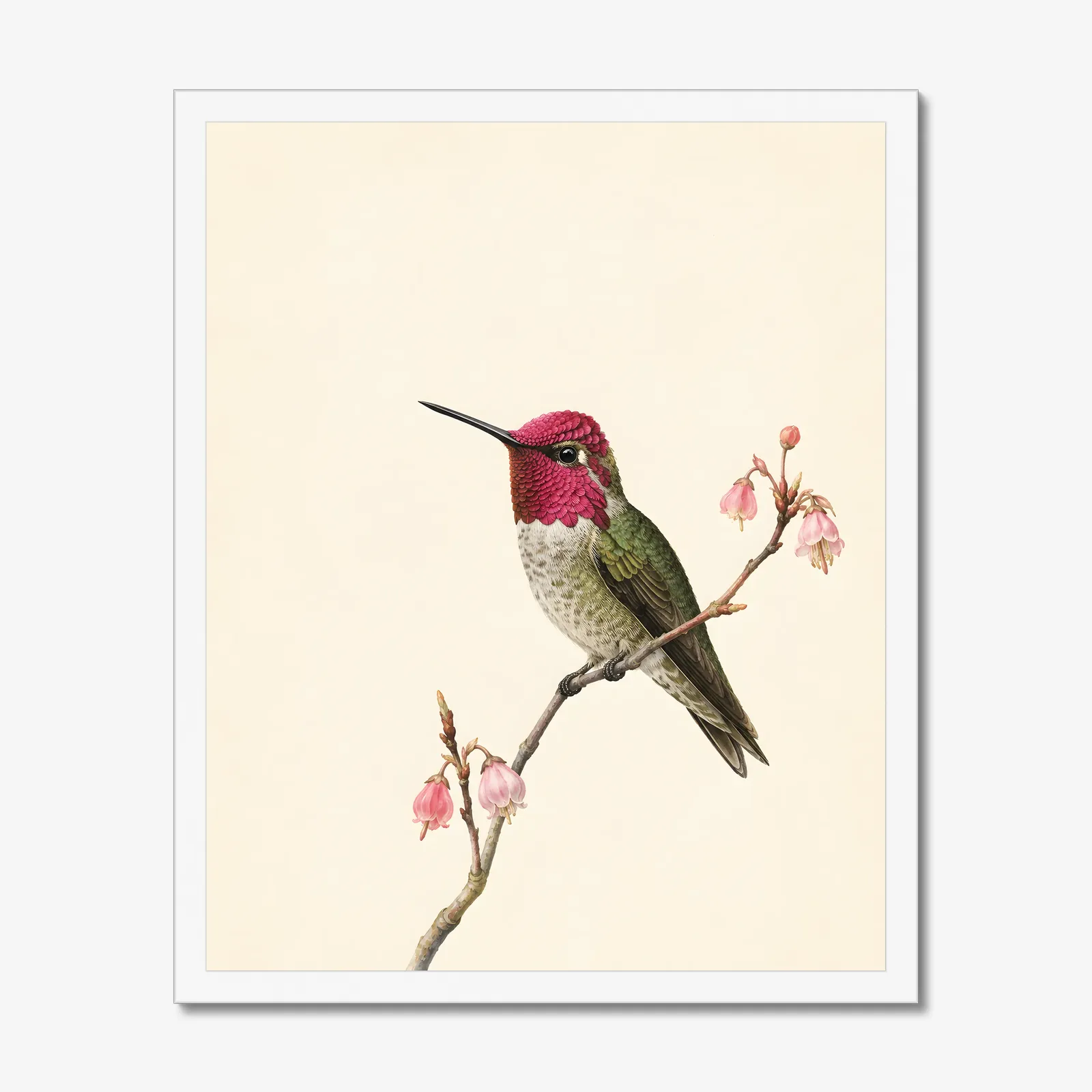 Anna's Hummingbird Print in a white frame