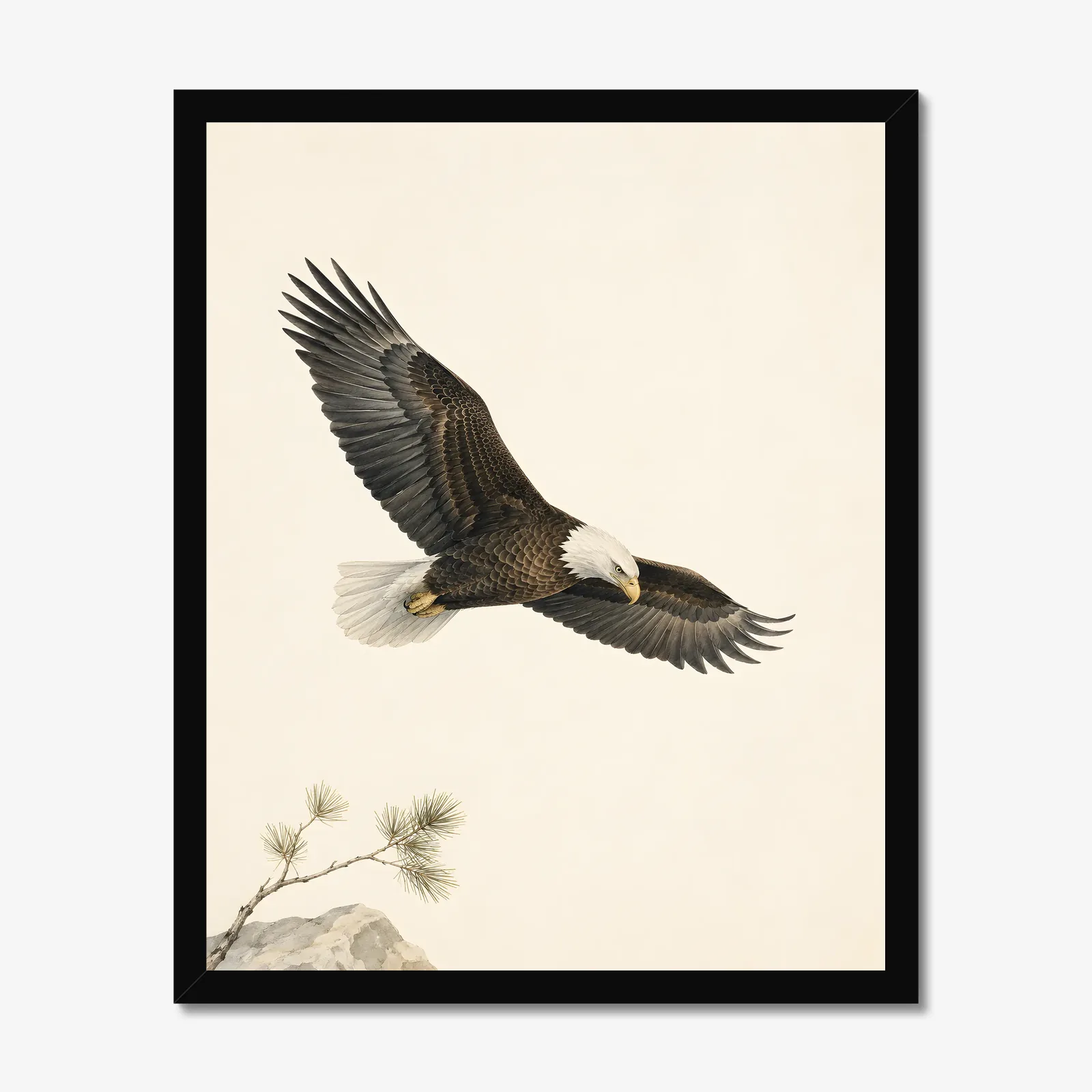 Bald Eagle Print - In Flight in a black frame